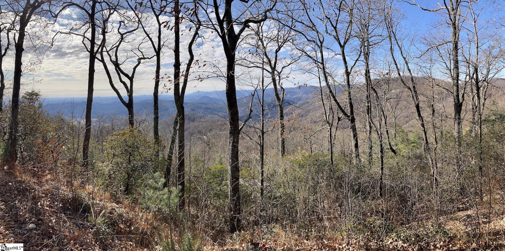 207 Night Crest Trail Property Photo 7