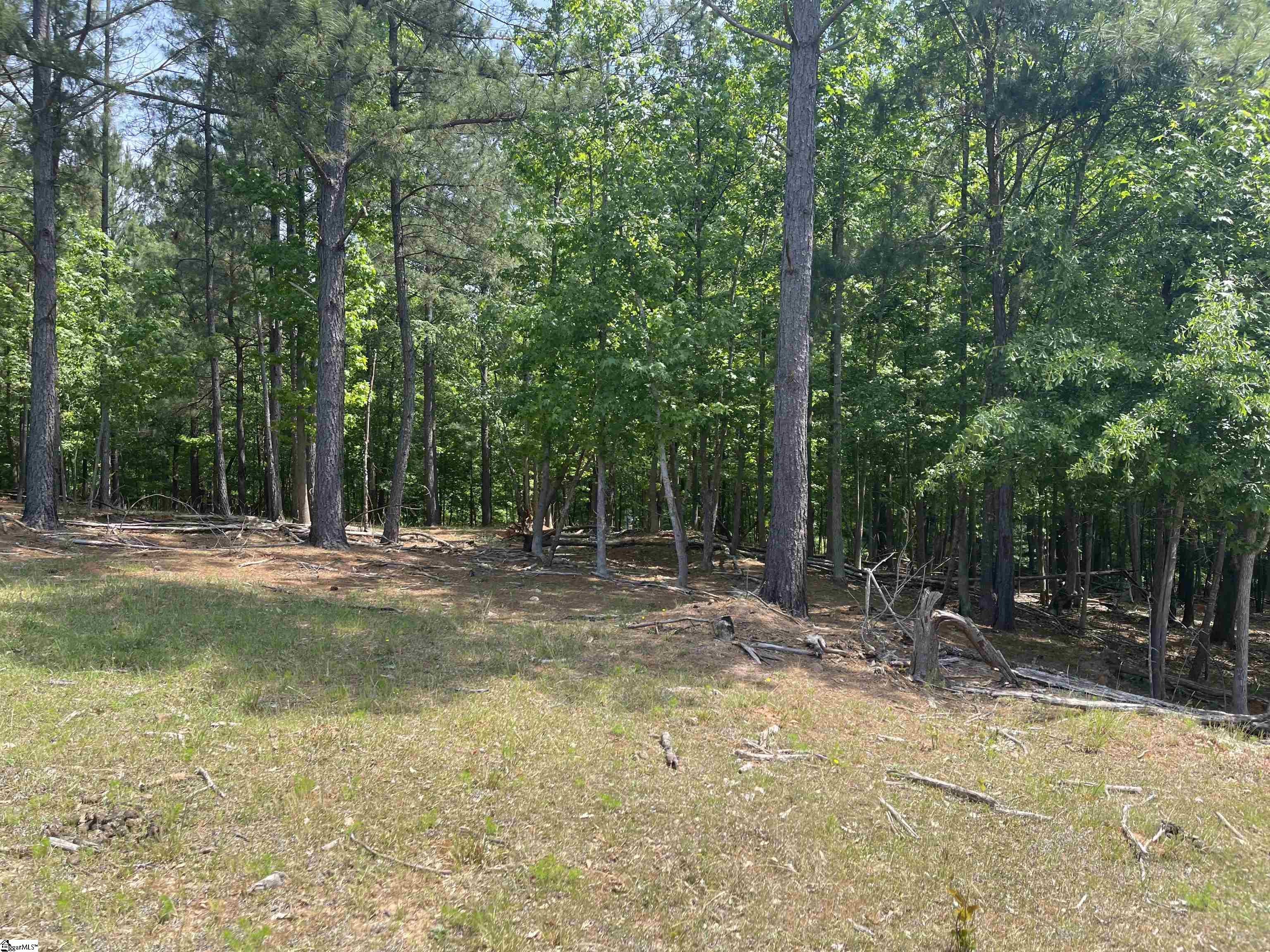 Pt Tr B1 Regency Circle Property Photo 15