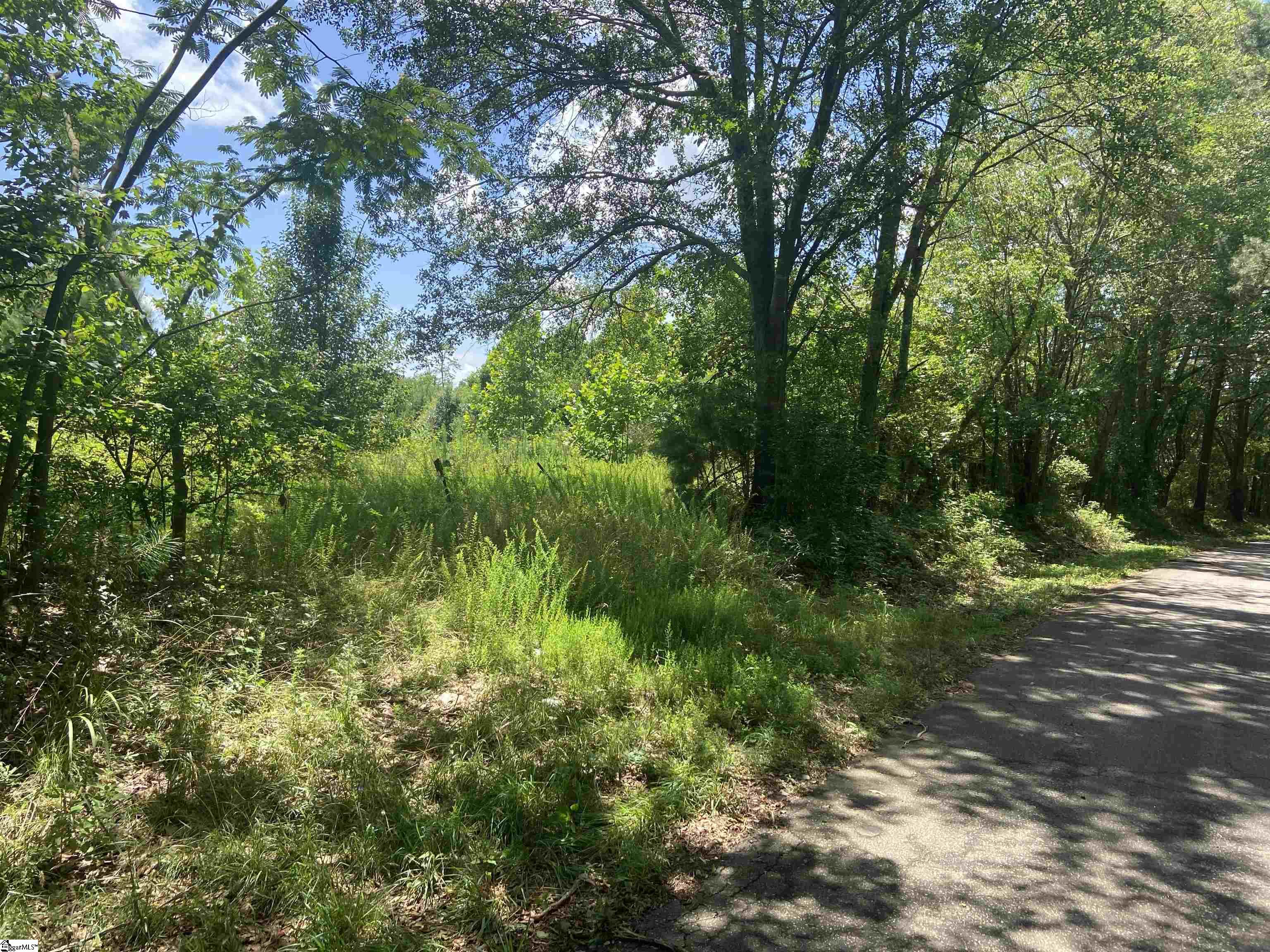 1010 Old Easley Highway Property Photo 2