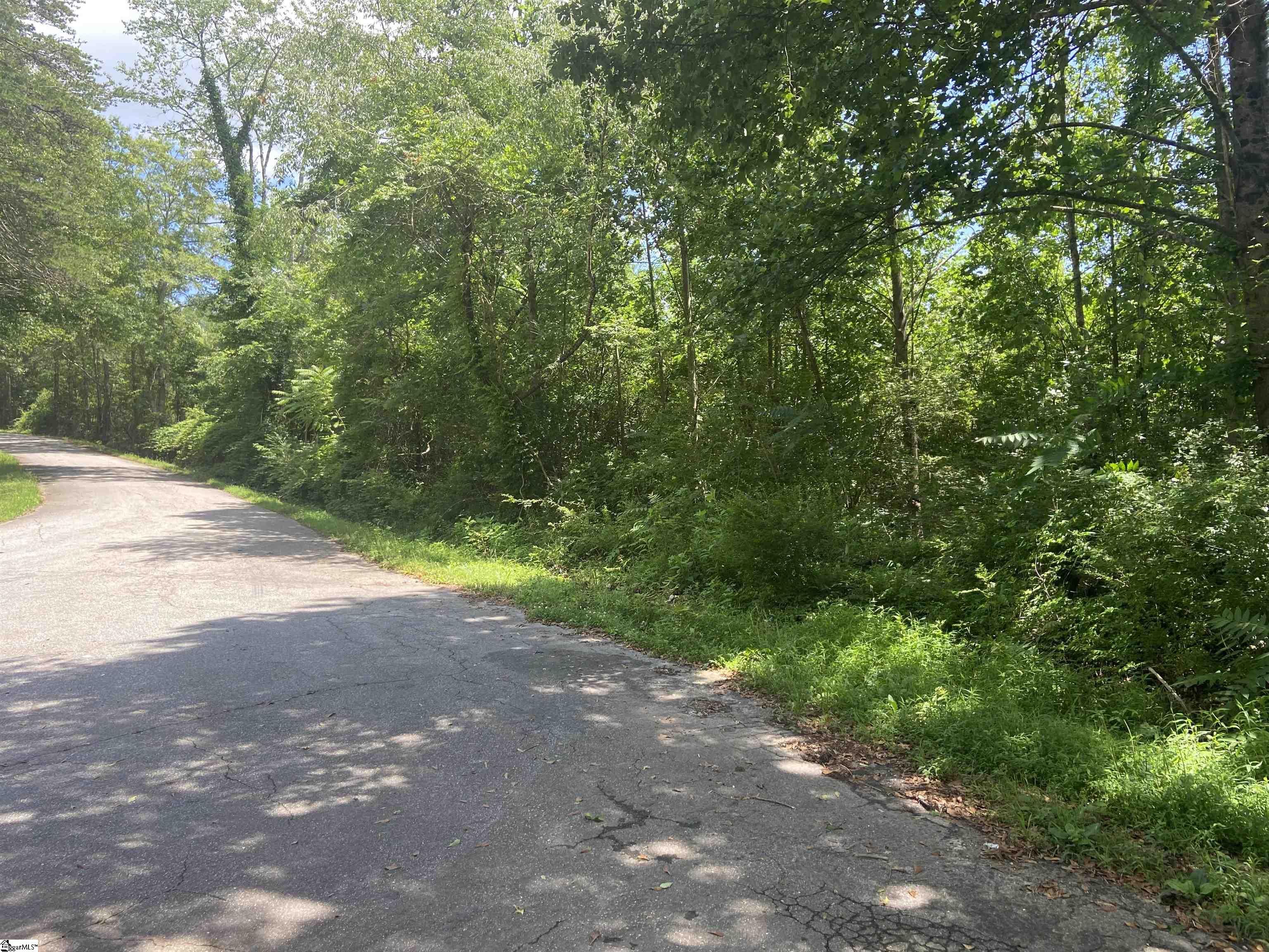 1010 Old Easley Highway Property Photo 3