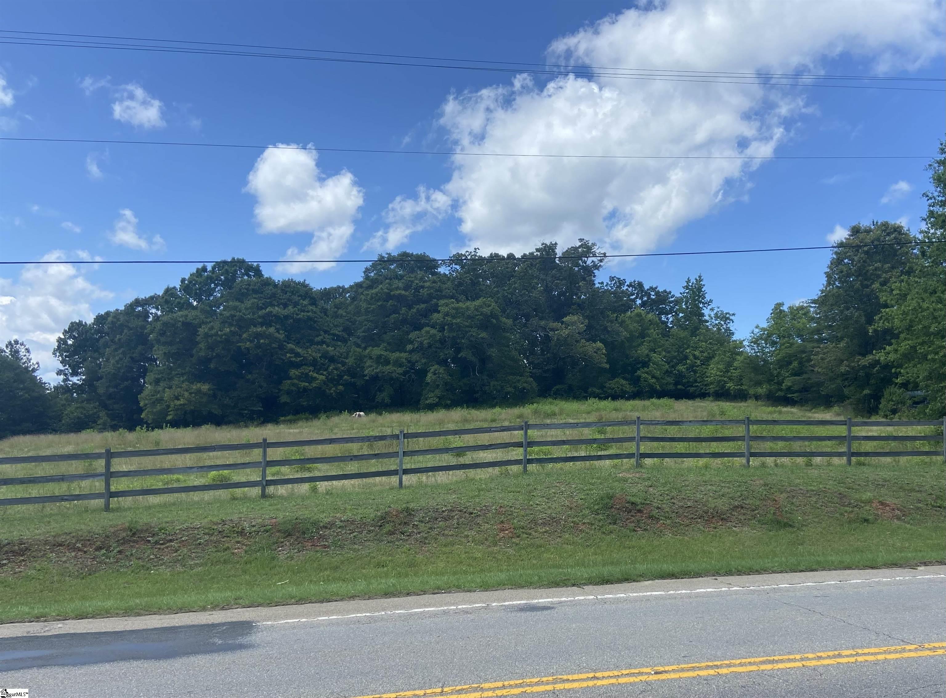 1010 Old Easley Highway Property Photo 4