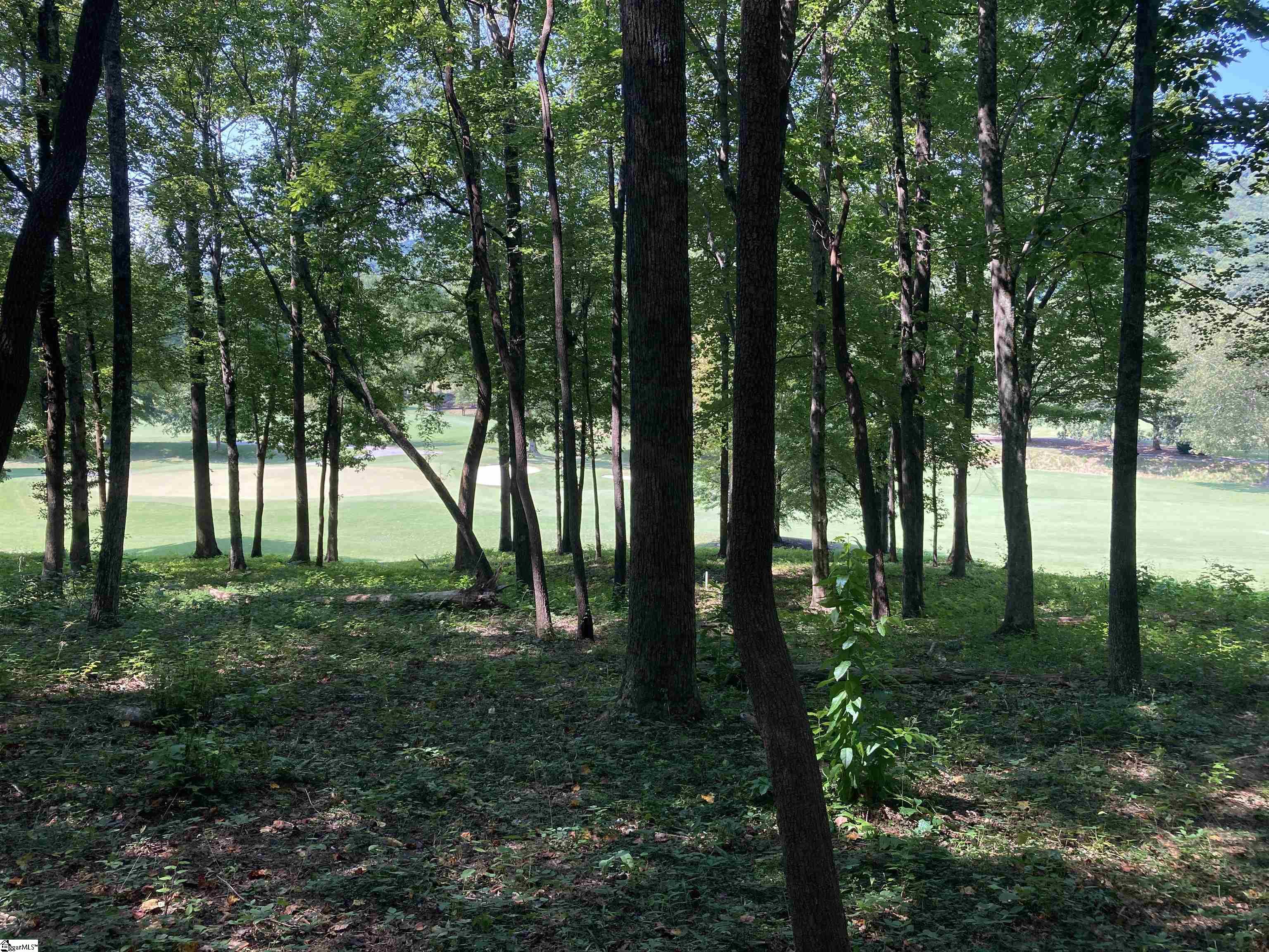 113 Foxboro Road Property Photo 4
