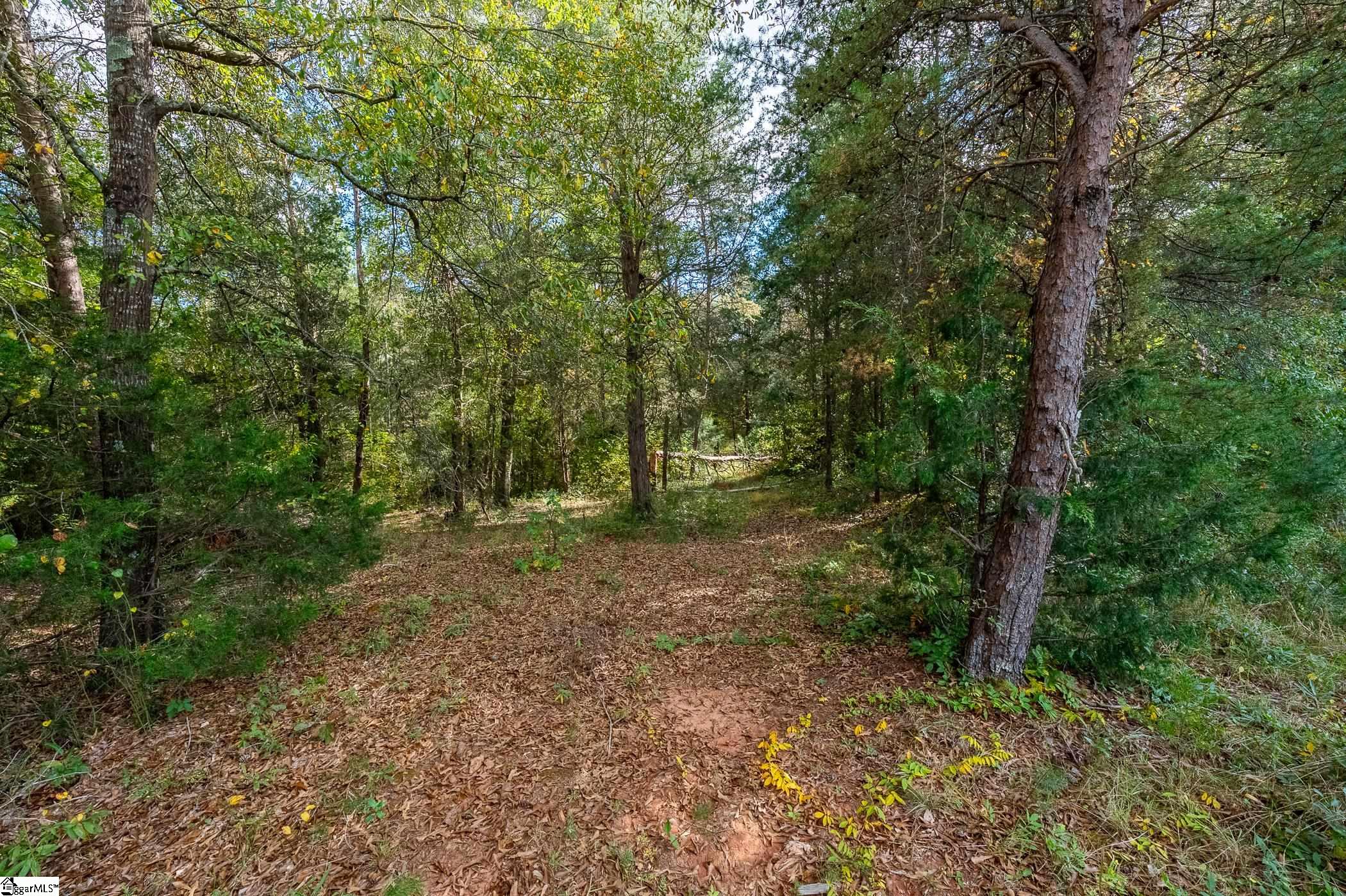 Tract A Thackston Road Property Photo 4