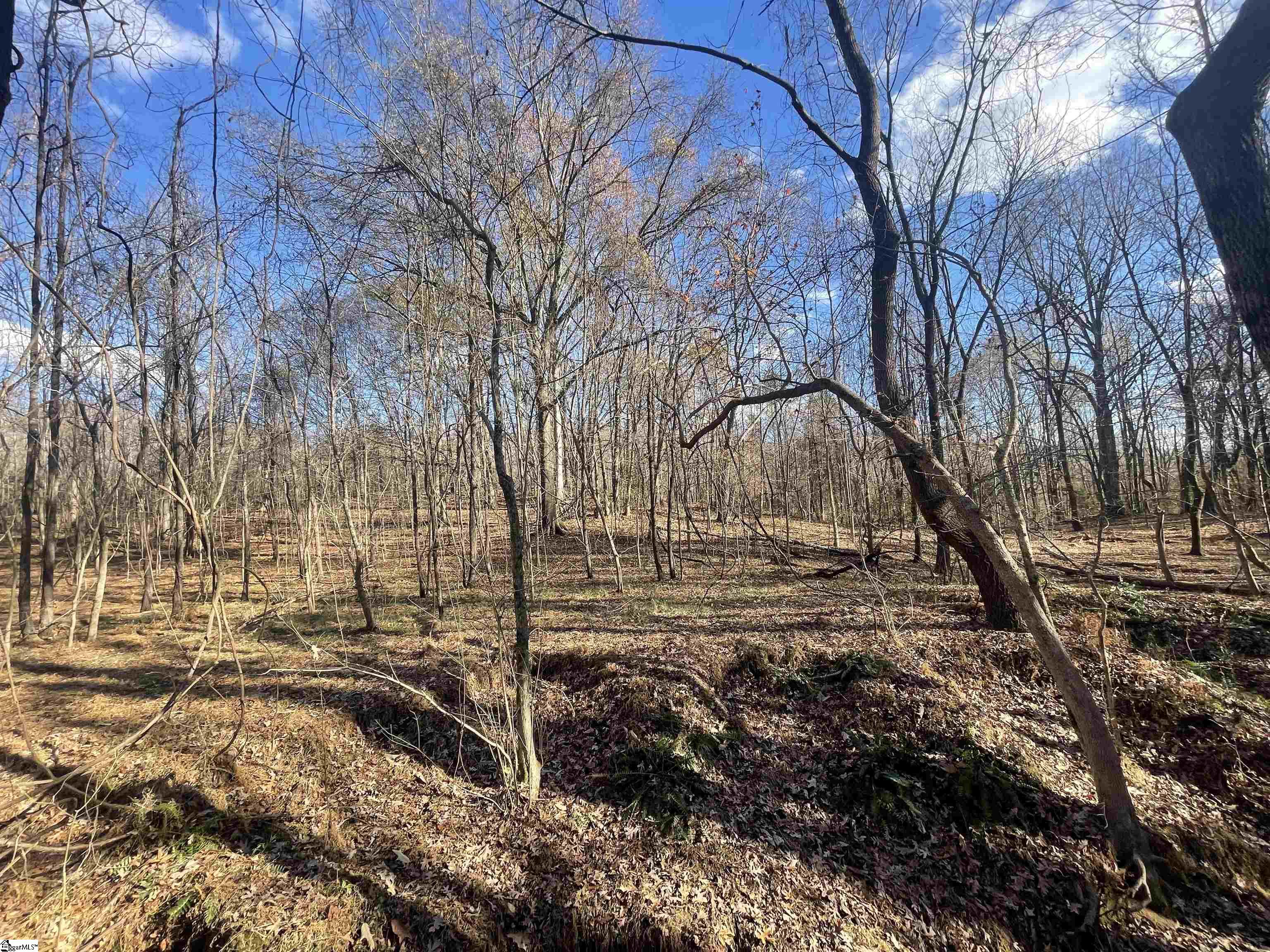00 Mill Creek Road Property Photo 33