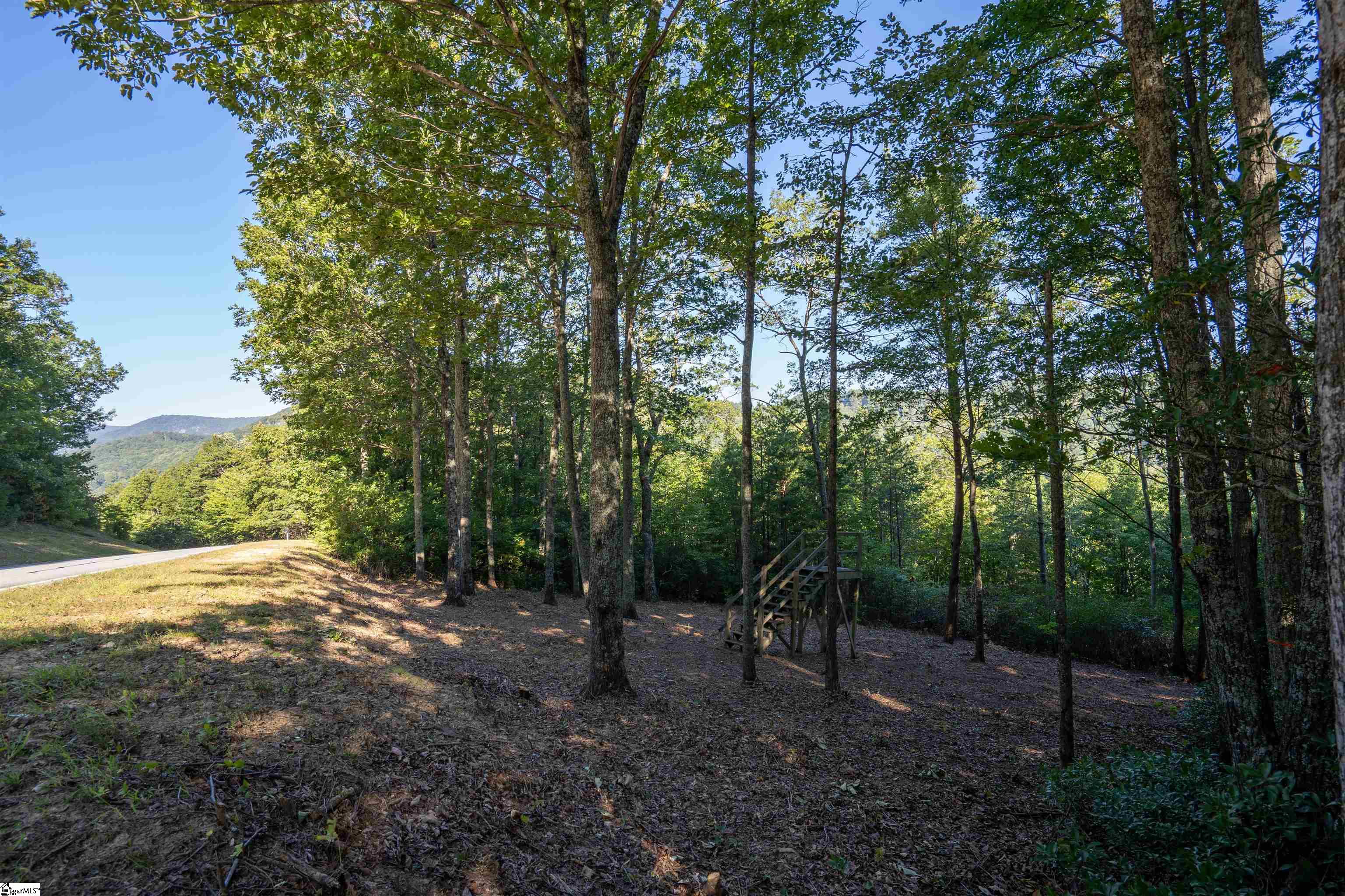 905 Mountain Summit Road Property Photo 4