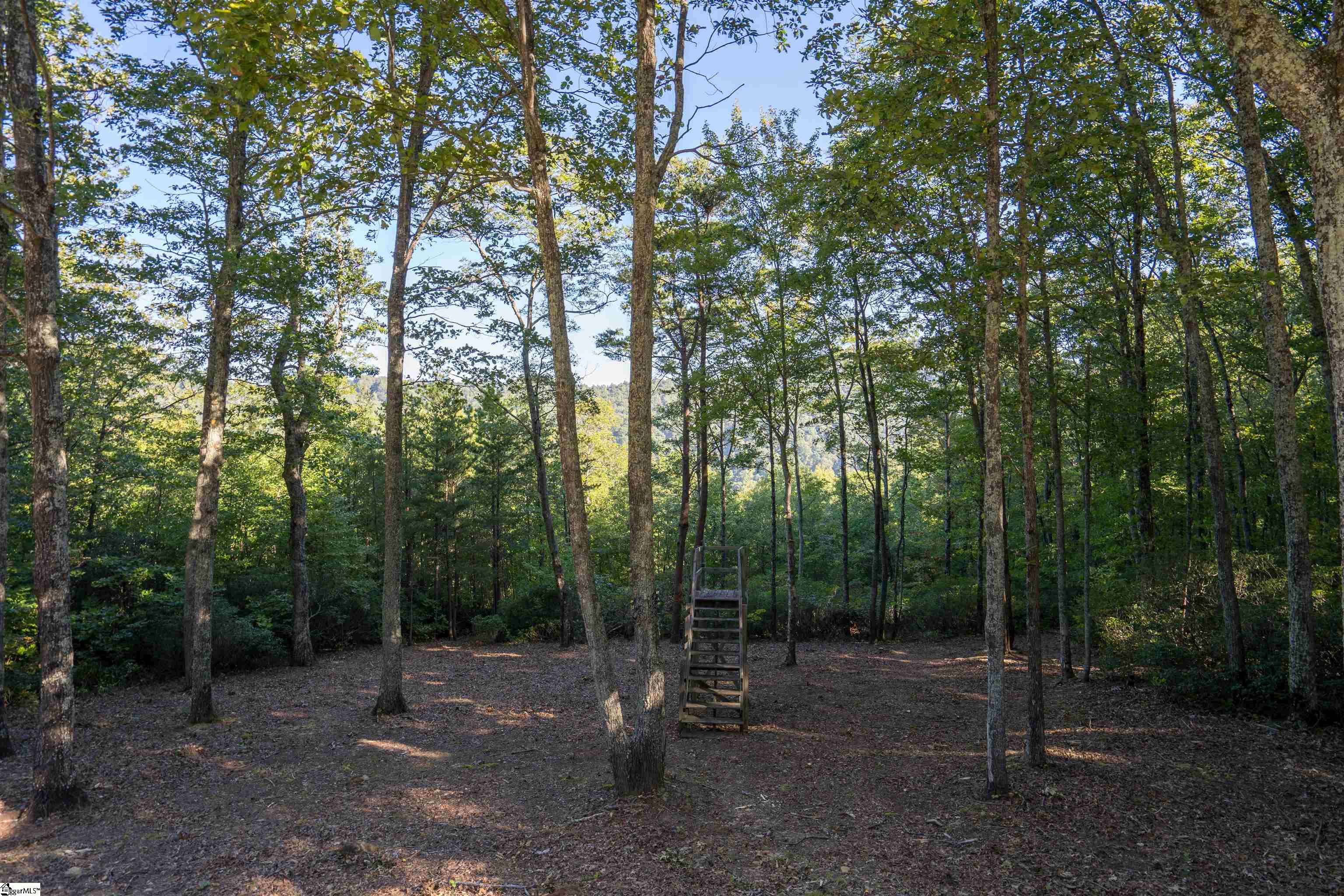 905 Mountain Summit Road Property Photo 5