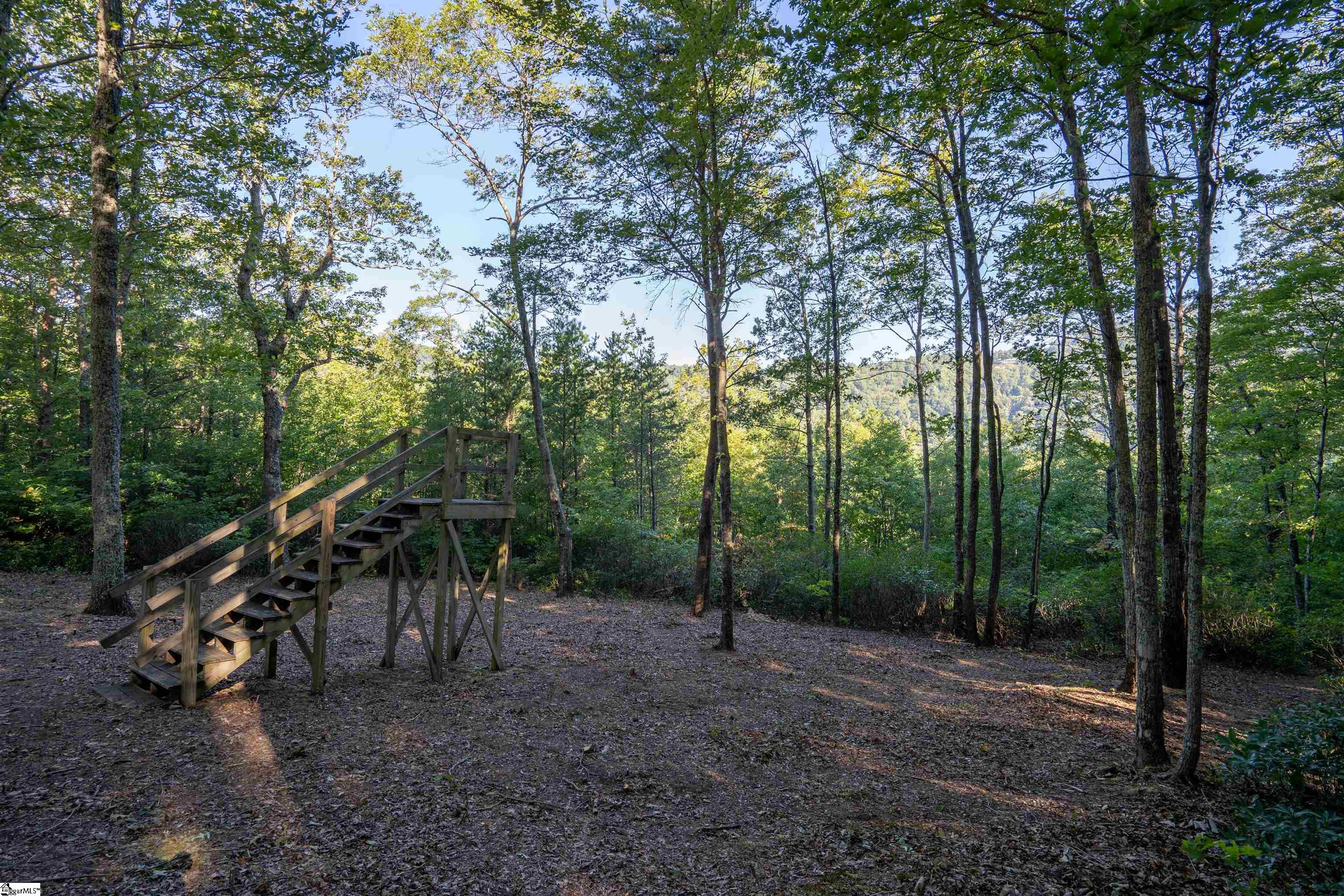 905 Mountain Summit Road Property Photo 6