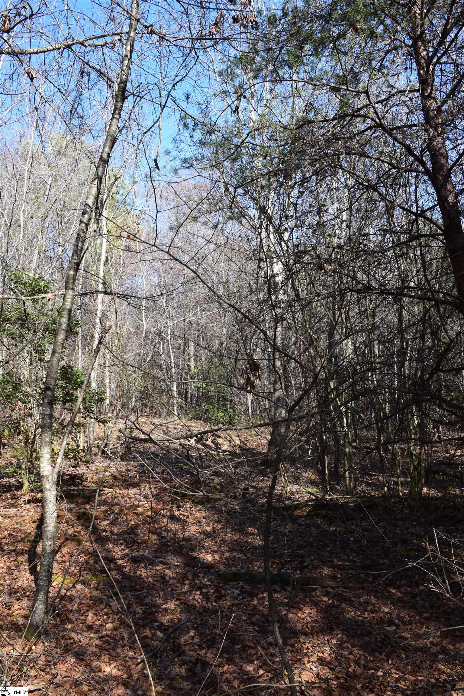 200 Sangamo Road Property Photo 6