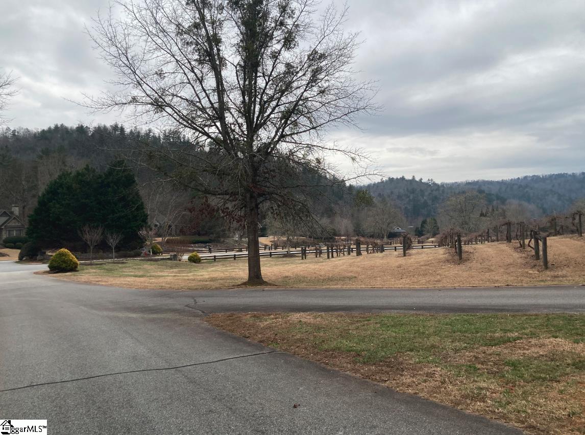 105 Chicory Lane Property Photo 7