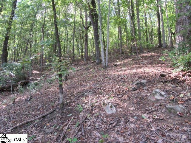 832 Whispering Falls Drive Property Photo