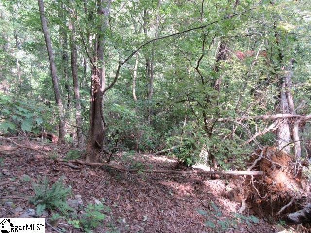 832 Whispering Falls Drive Property Photo 2