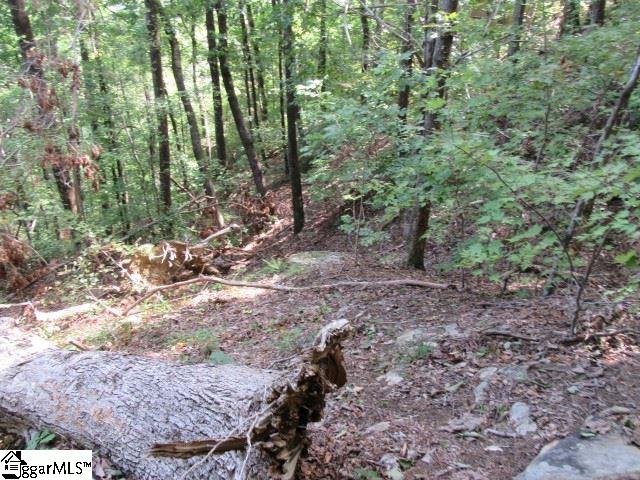 832 Whispering Falls Drive Property Photo 3