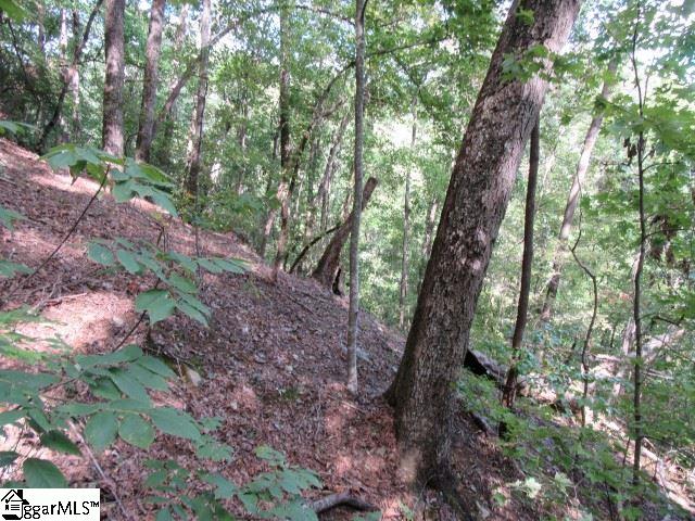 832 Whispering Falls Drive Property Photo 4