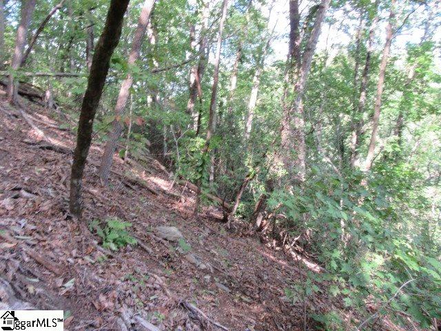 832 Whispering Falls Drive Property Photo 6