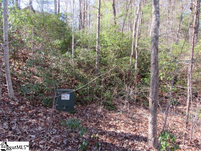 103 Rock Ridge Property Photo