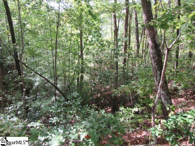 103 Rock Ridge Property Photo 2