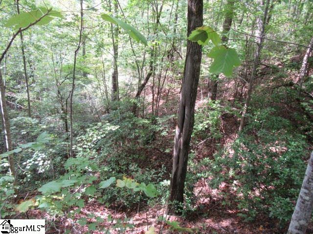103 Rock Ridge Property Photo 4