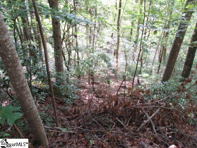 103 Rock Ridge Property Photo 5