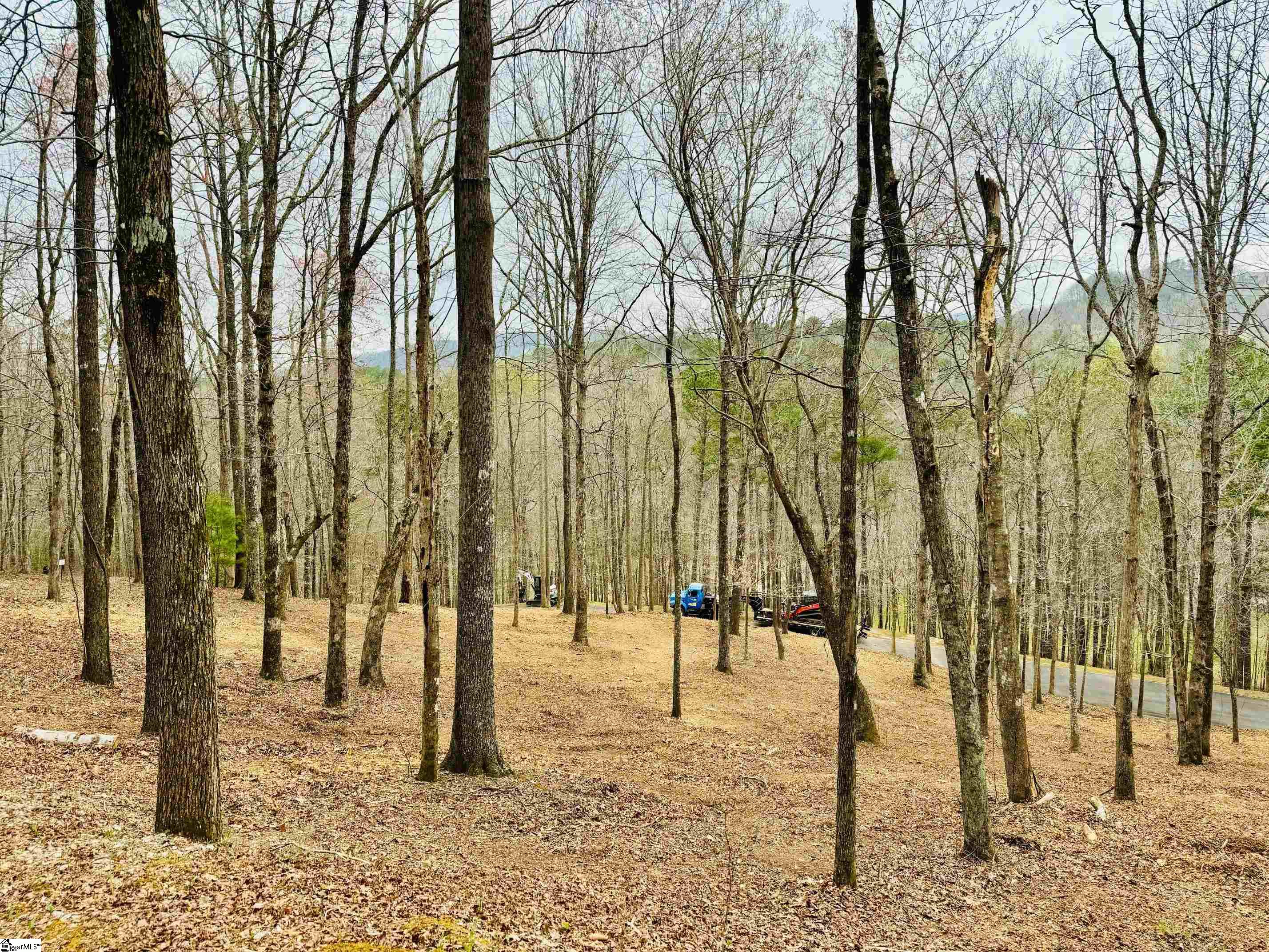 2 Buck Creek Trail Property Photo 3