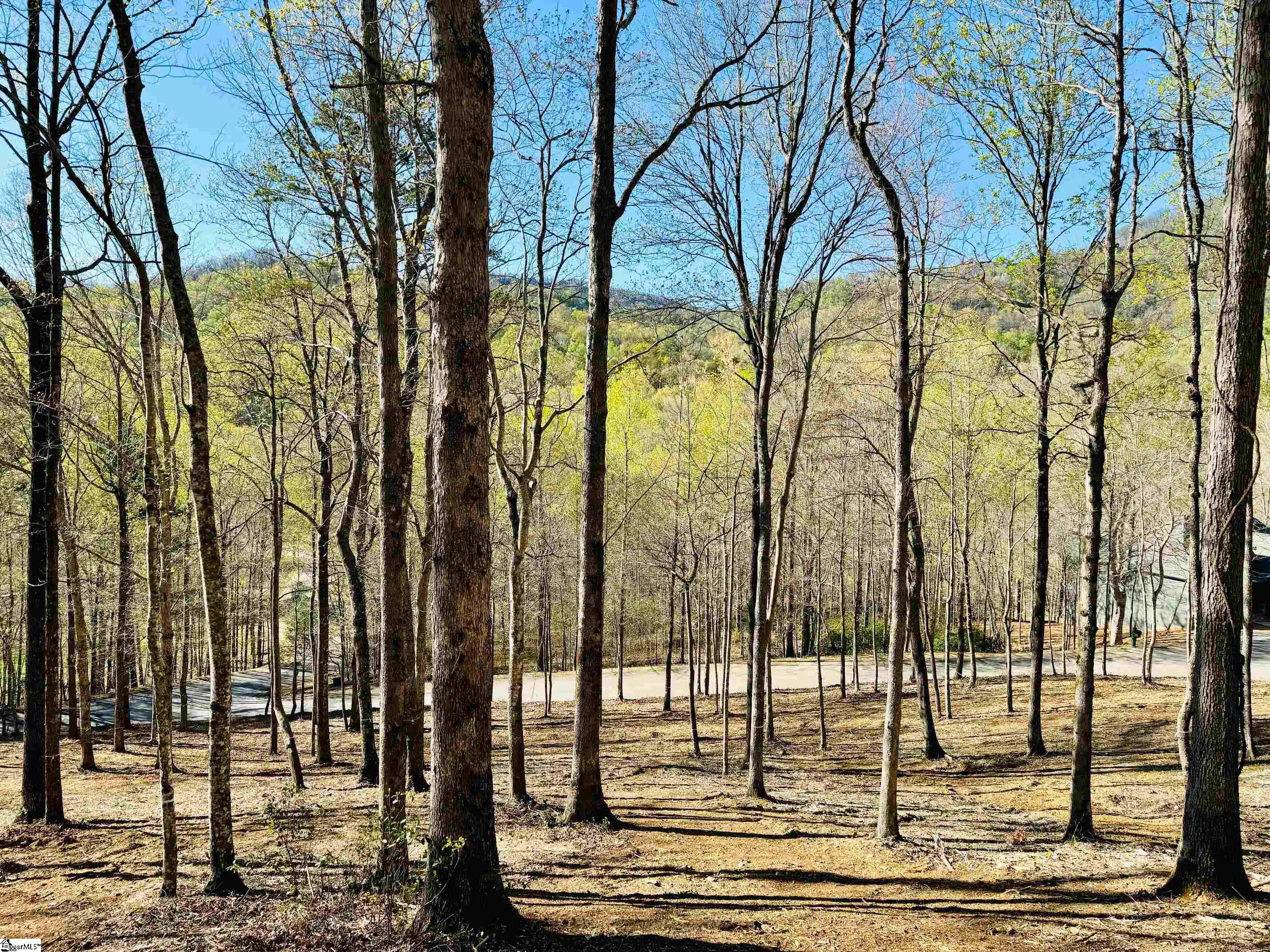 101 Crystal Brook Trail Property Photo 2