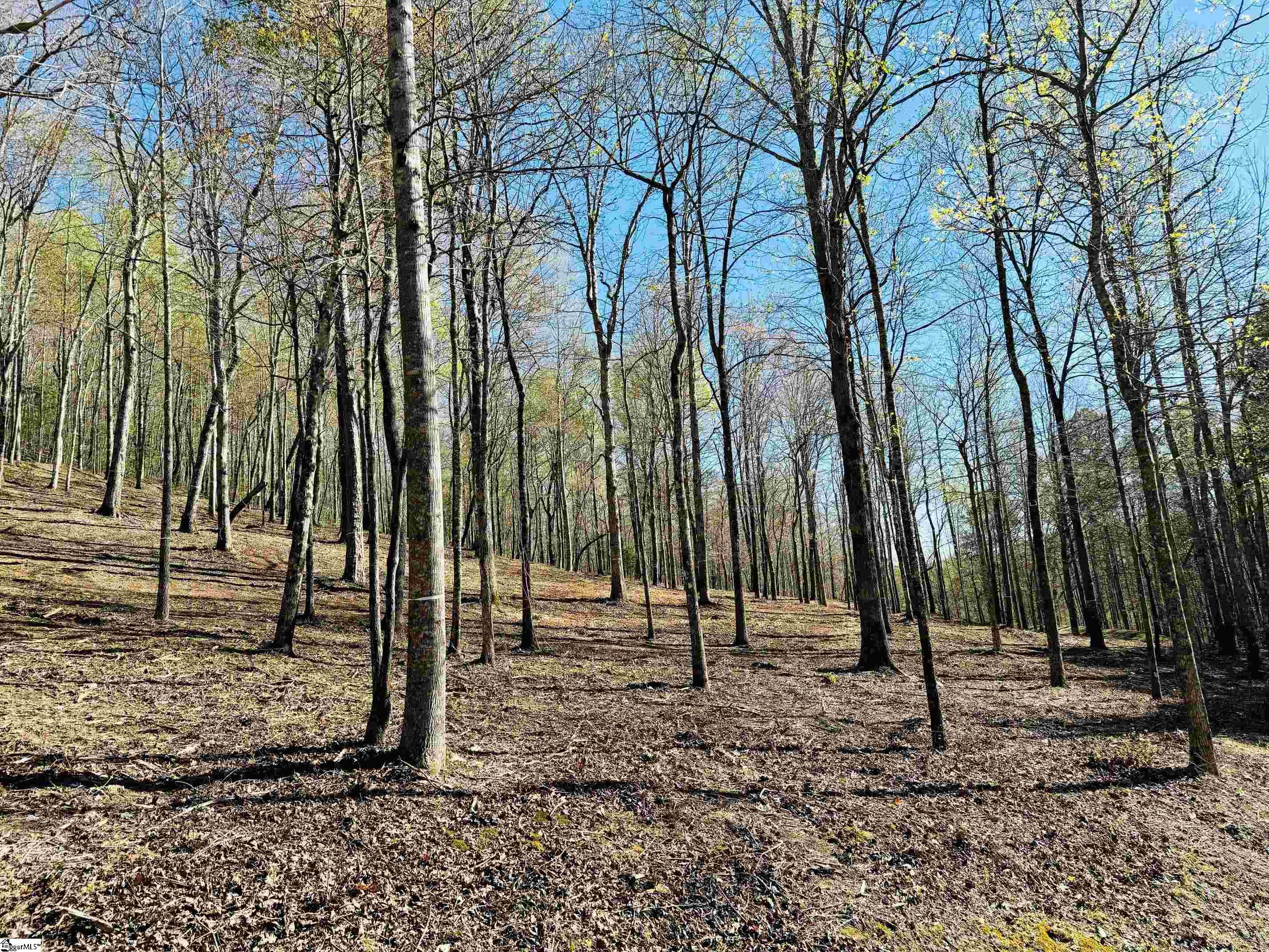 101 Crystal Brook Trail Property Photo 3