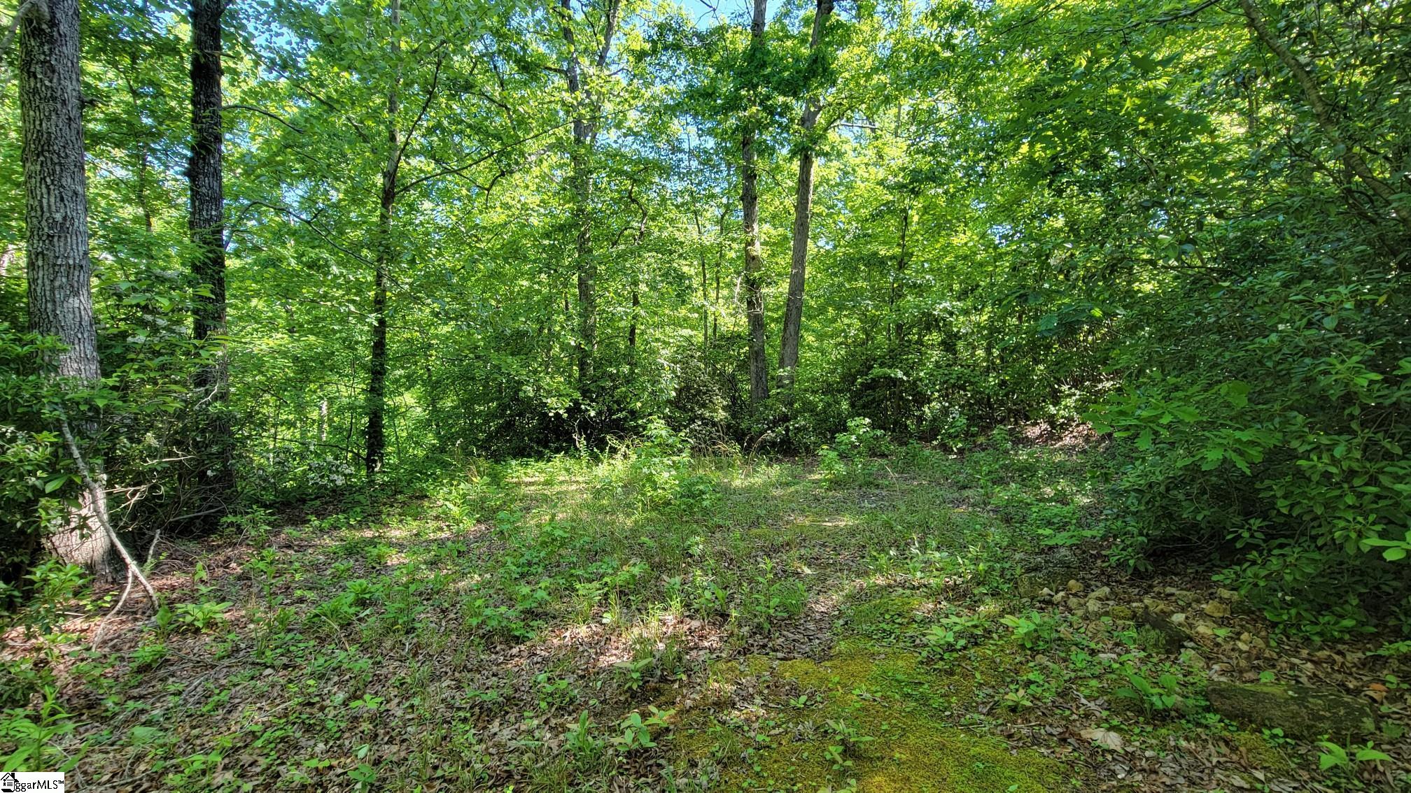 11 Terra Trace Way Property Photo 5