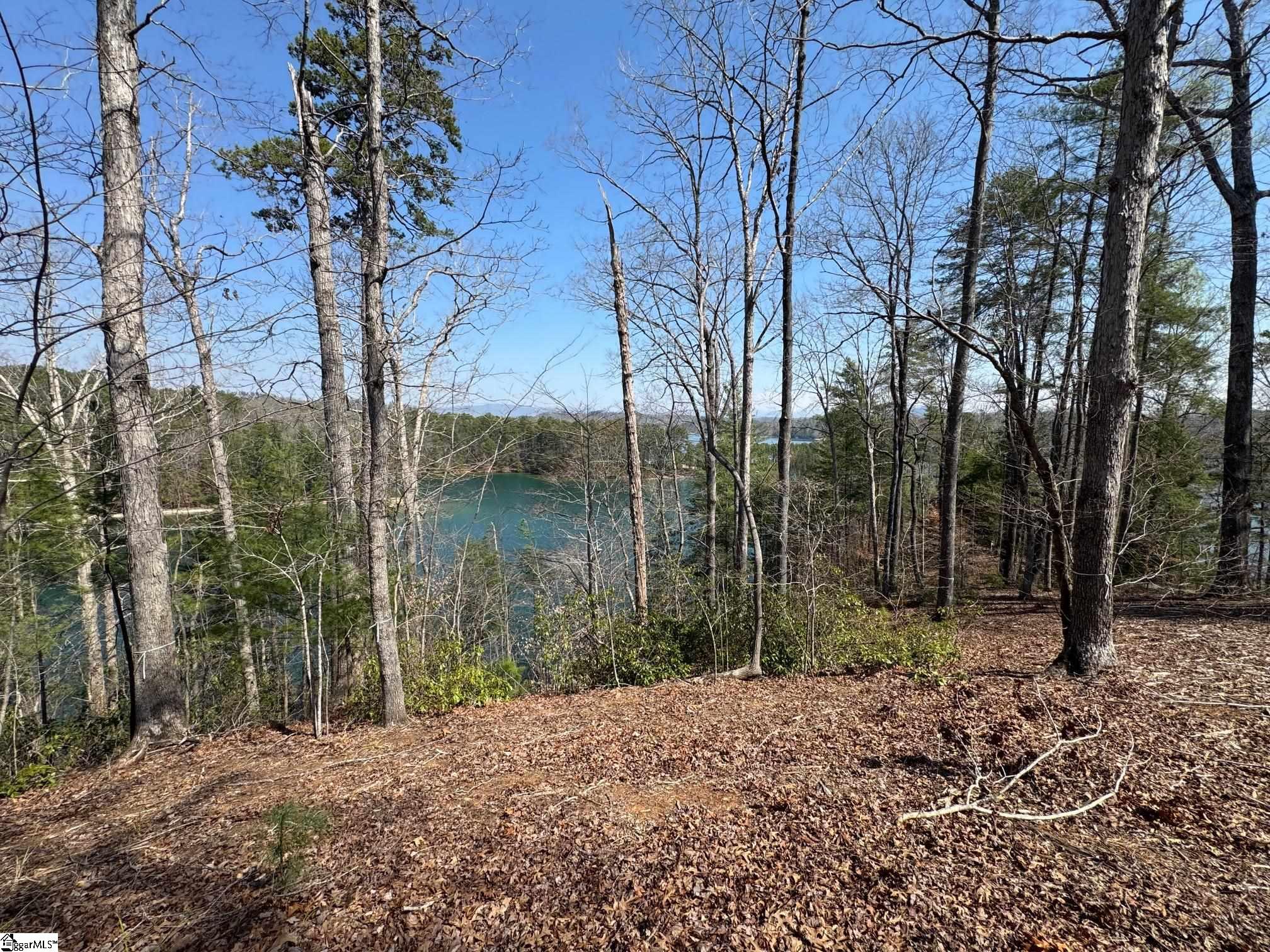 731 Barberry Court Property Photo 18