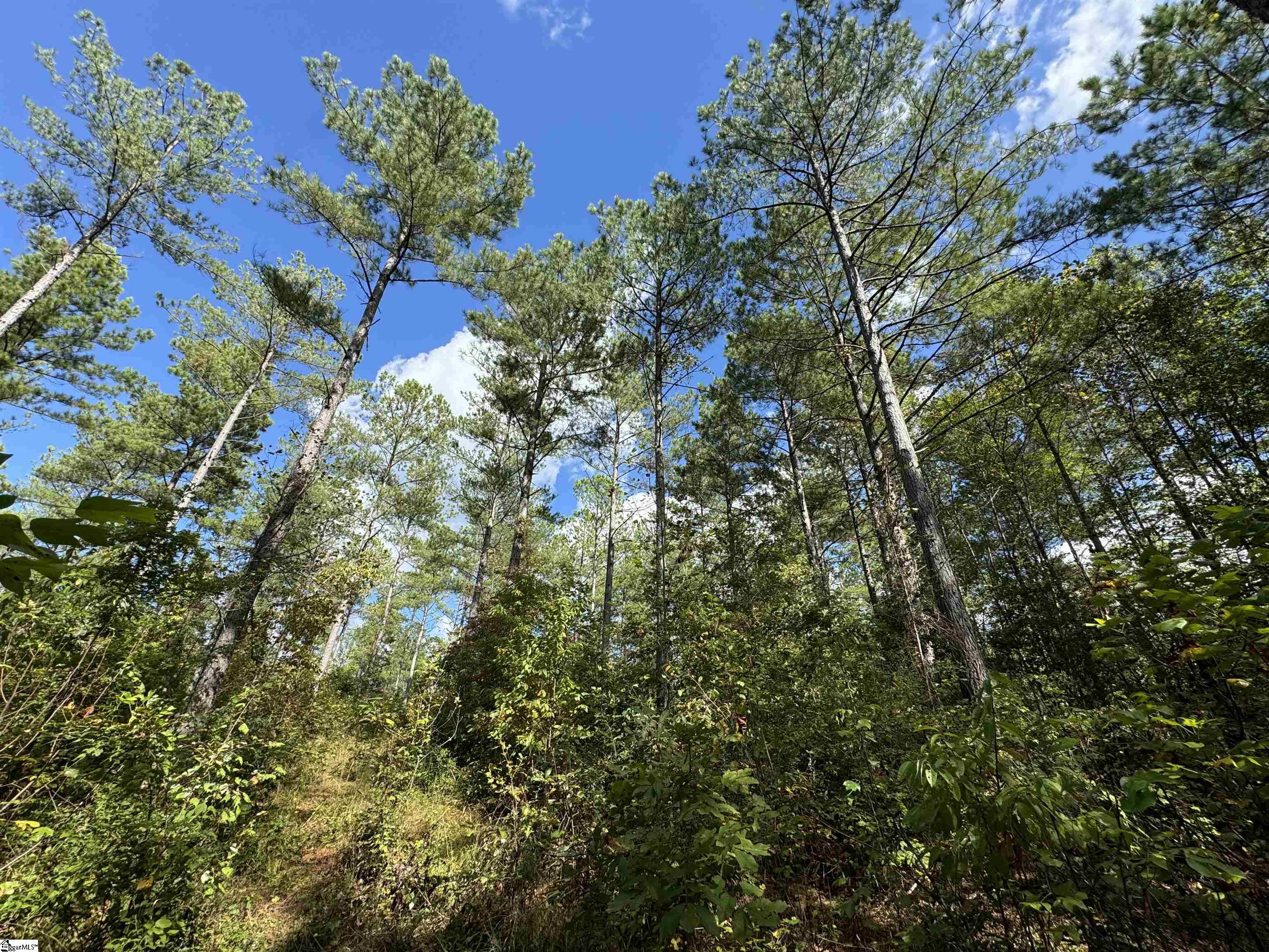 2162 Battlecreek Road Property Photo 2