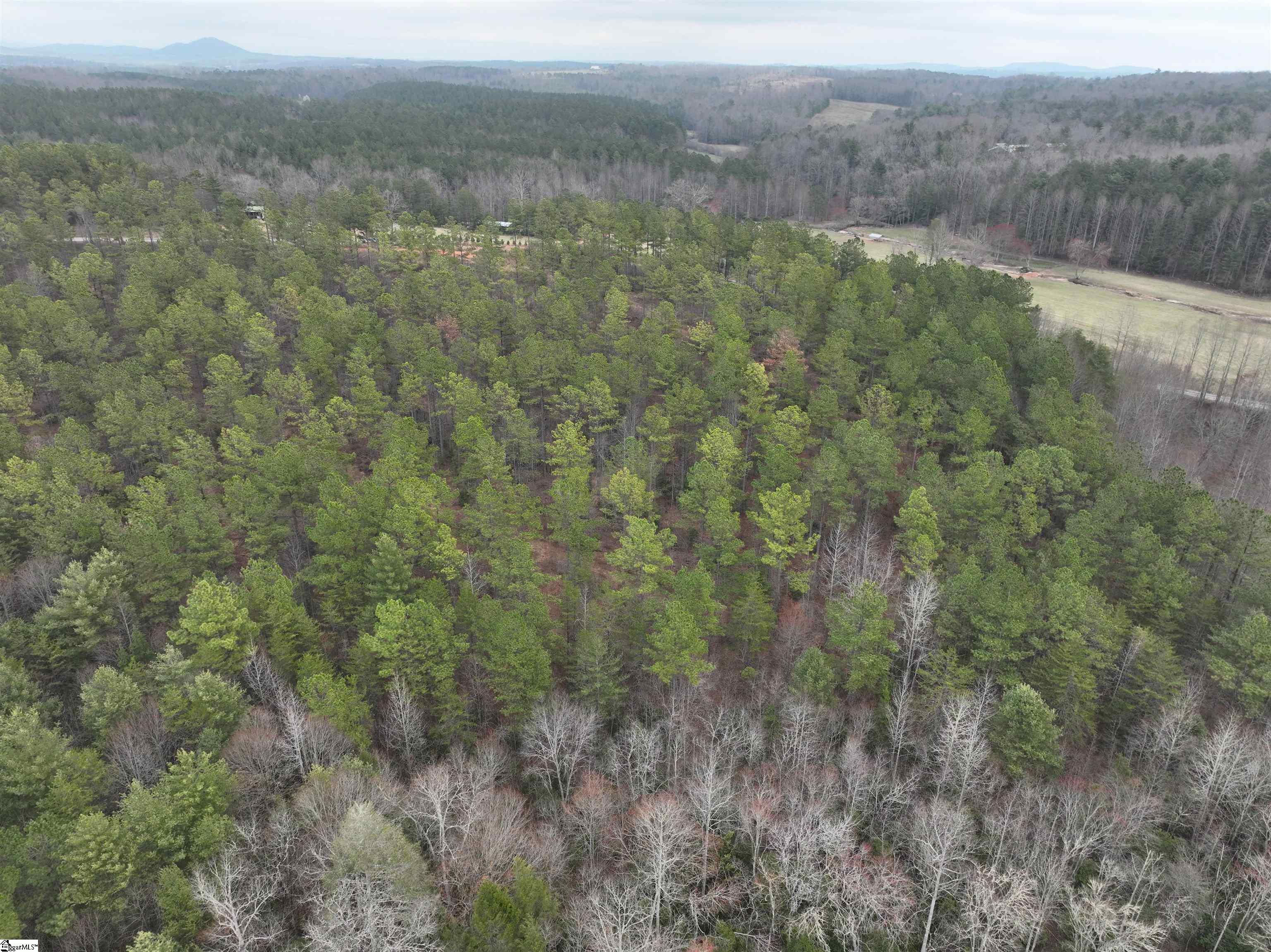2162 Battlecreek Road Property Photo 13