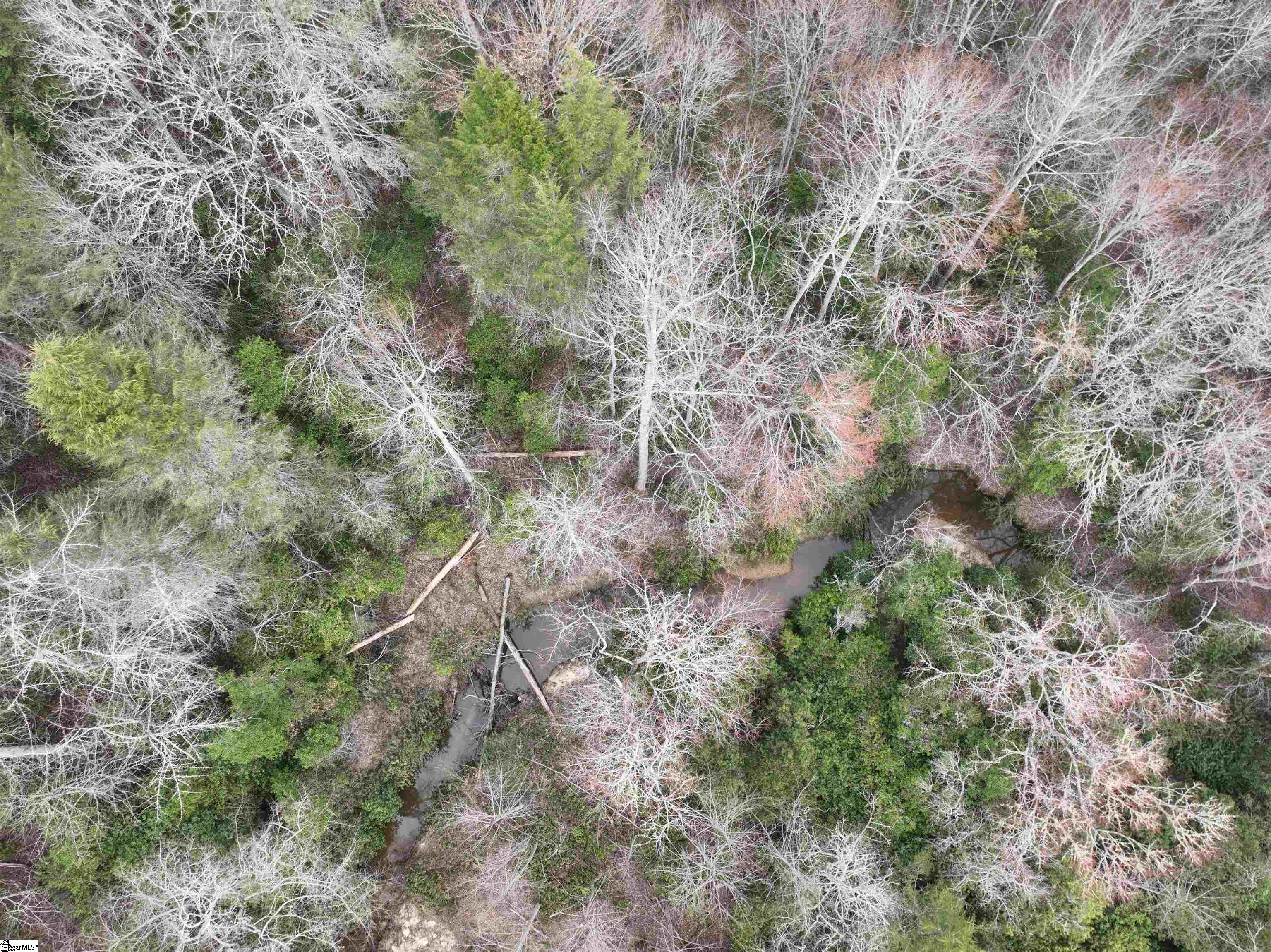 2162 Battlecreek Road Property Photo 15
