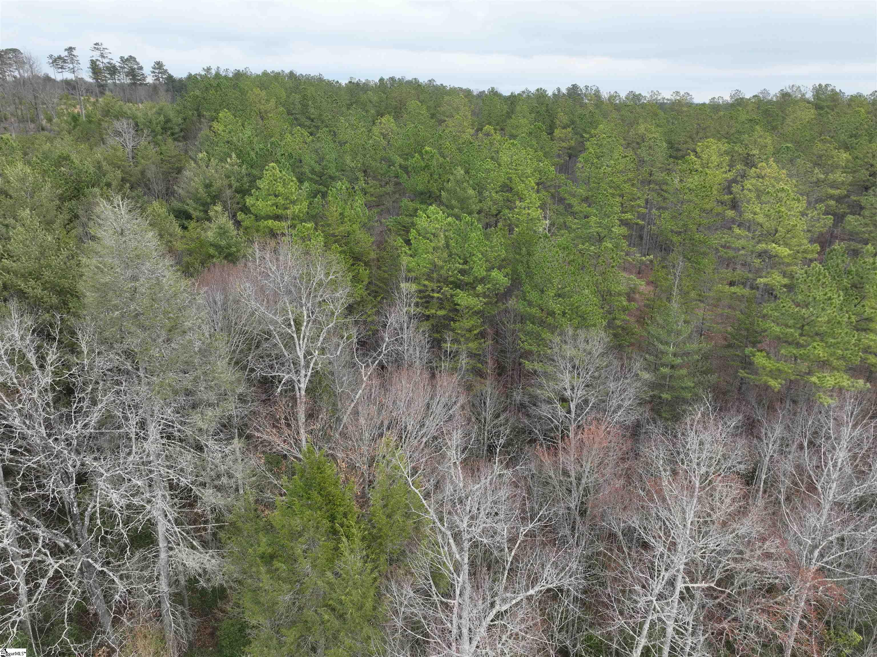 2162 Battlecreek Road Property Photo 16