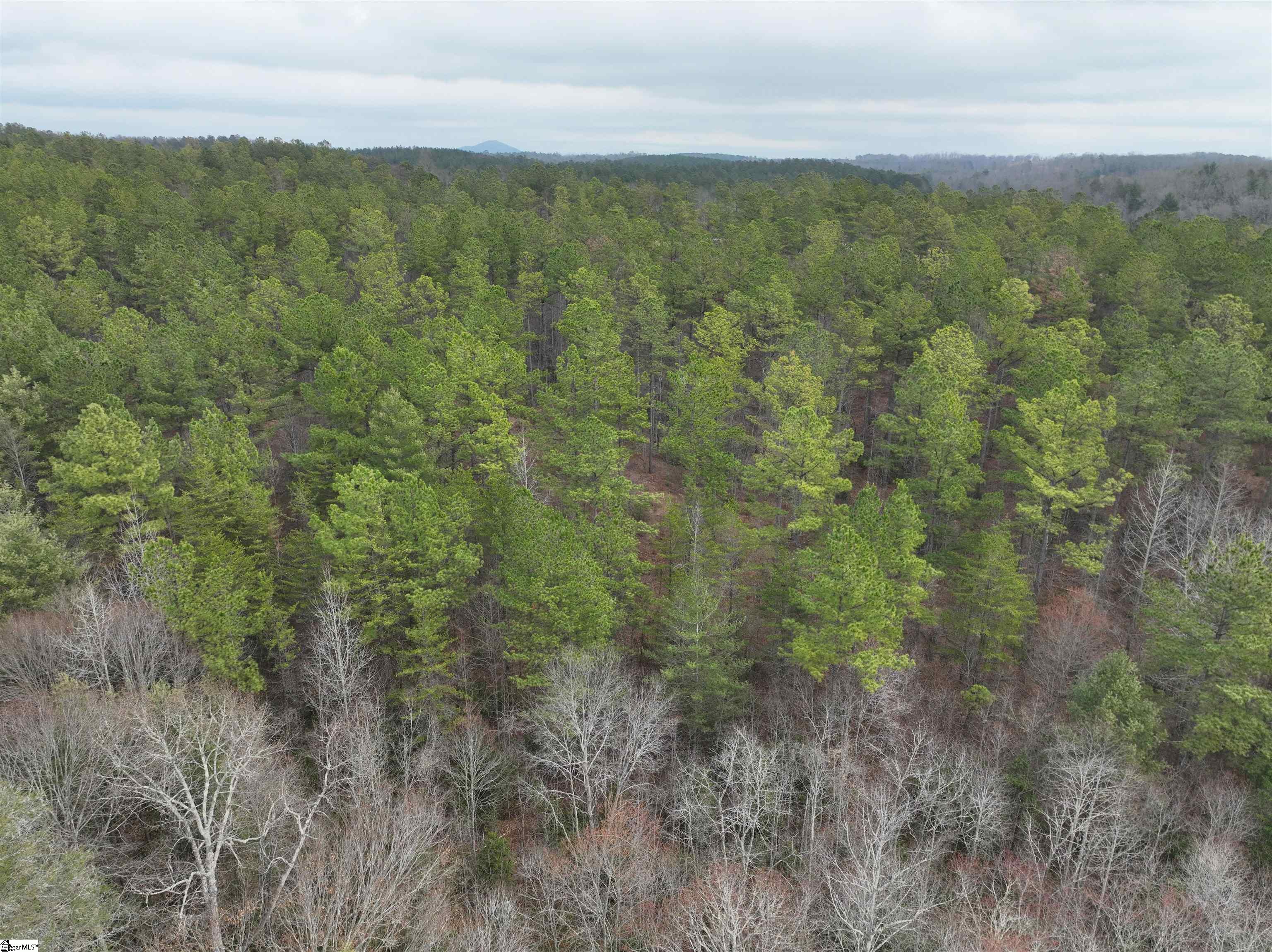 2162 Battlecreek Road Property Photo 17