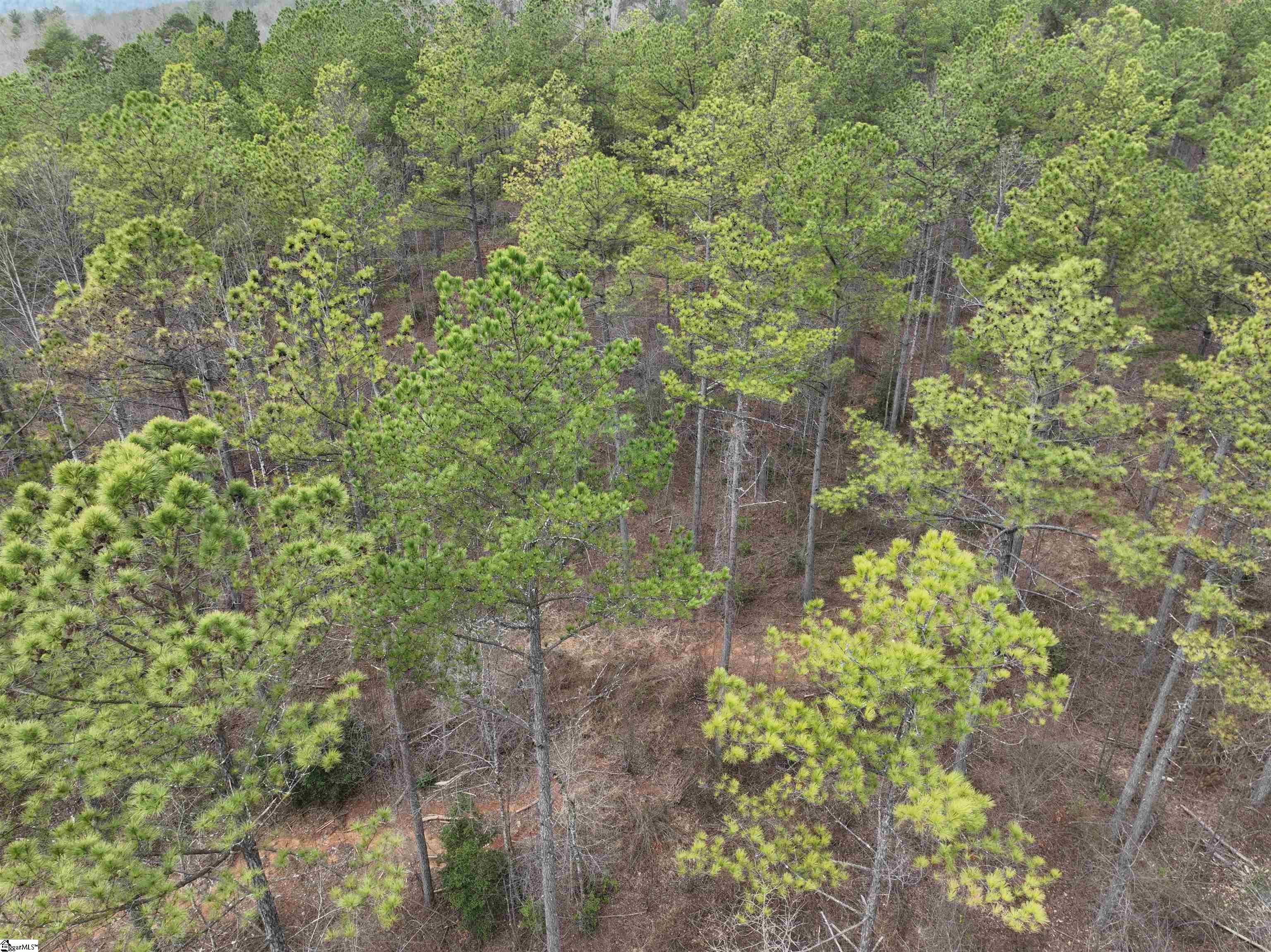 2162 Battlecreek Road Property Photo 18