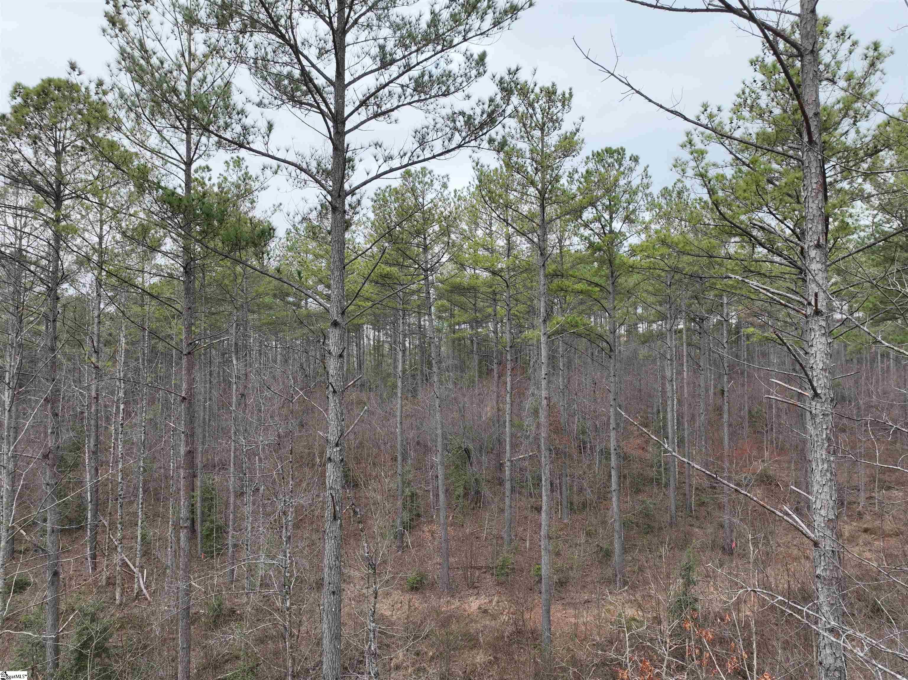 2162 Battlecreek Road Property Photo 19