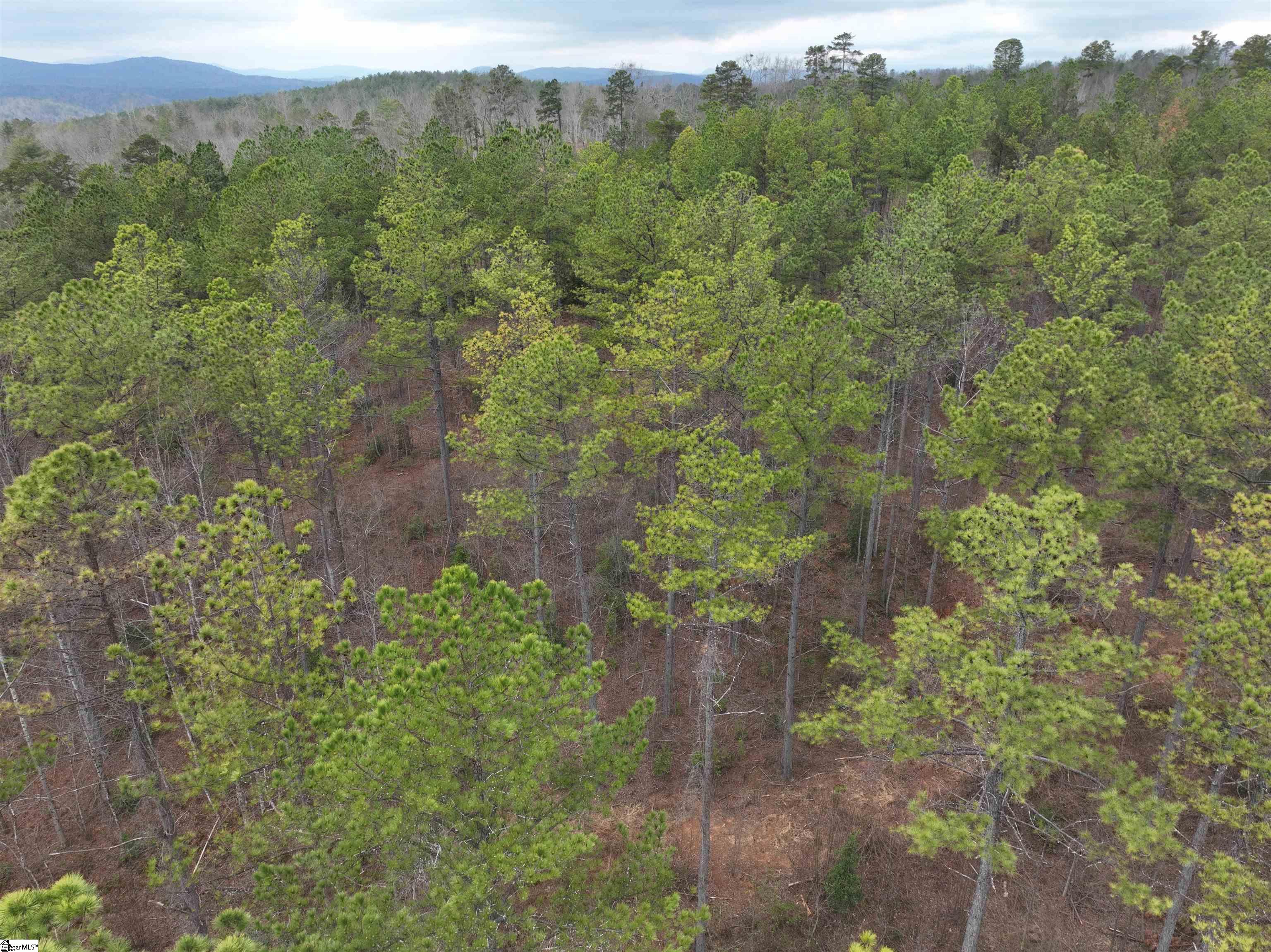2162 Battlecreek Road Property Photo 20