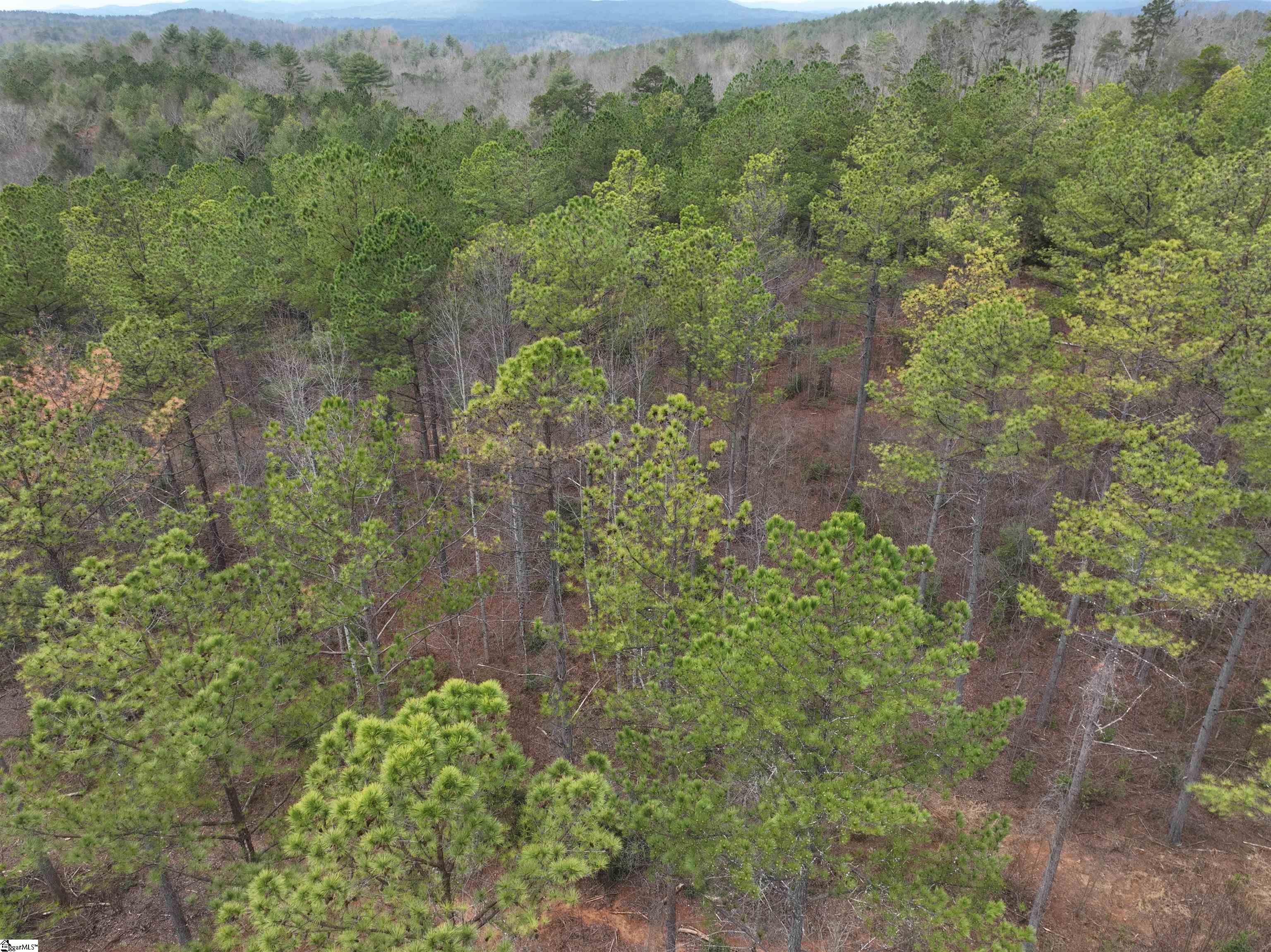2162 Battlecreek Road Property Photo 21