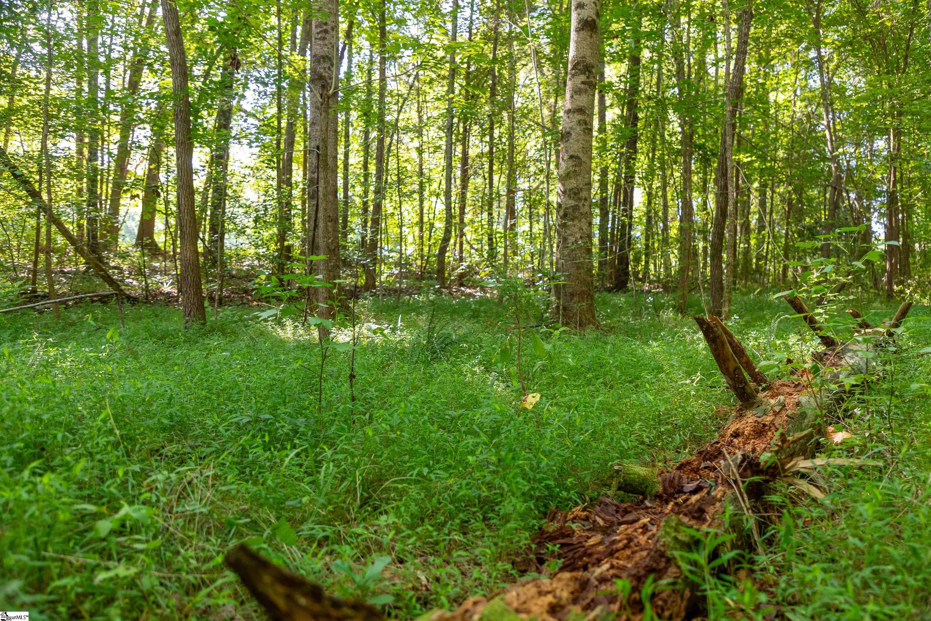 7588 Ekom Beach Road Property Photo 19