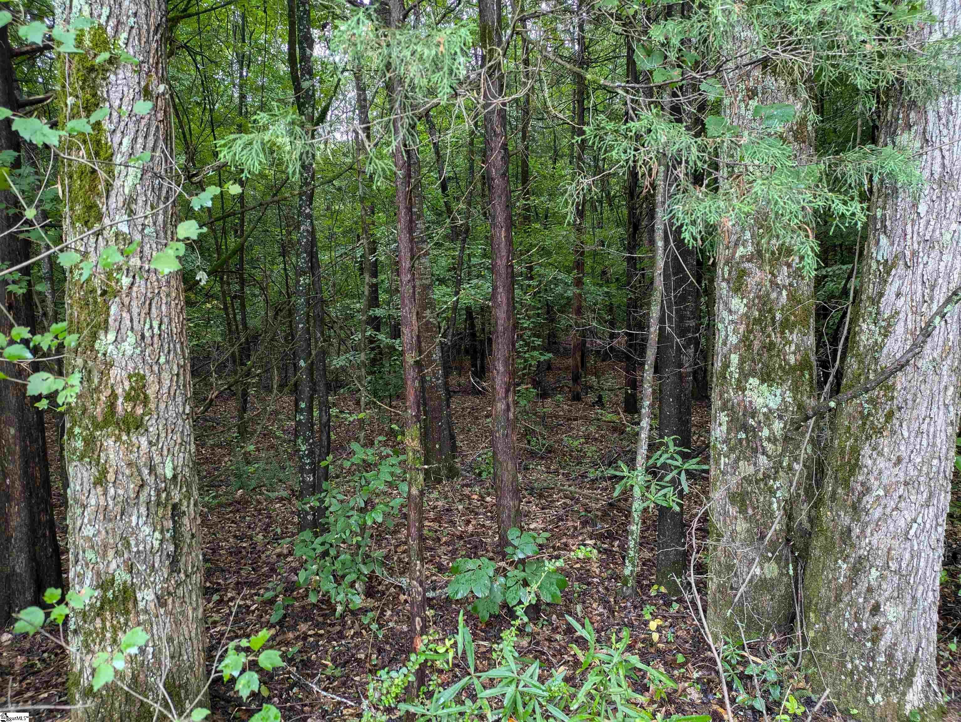 0 Old Highway 76 W Property Photo