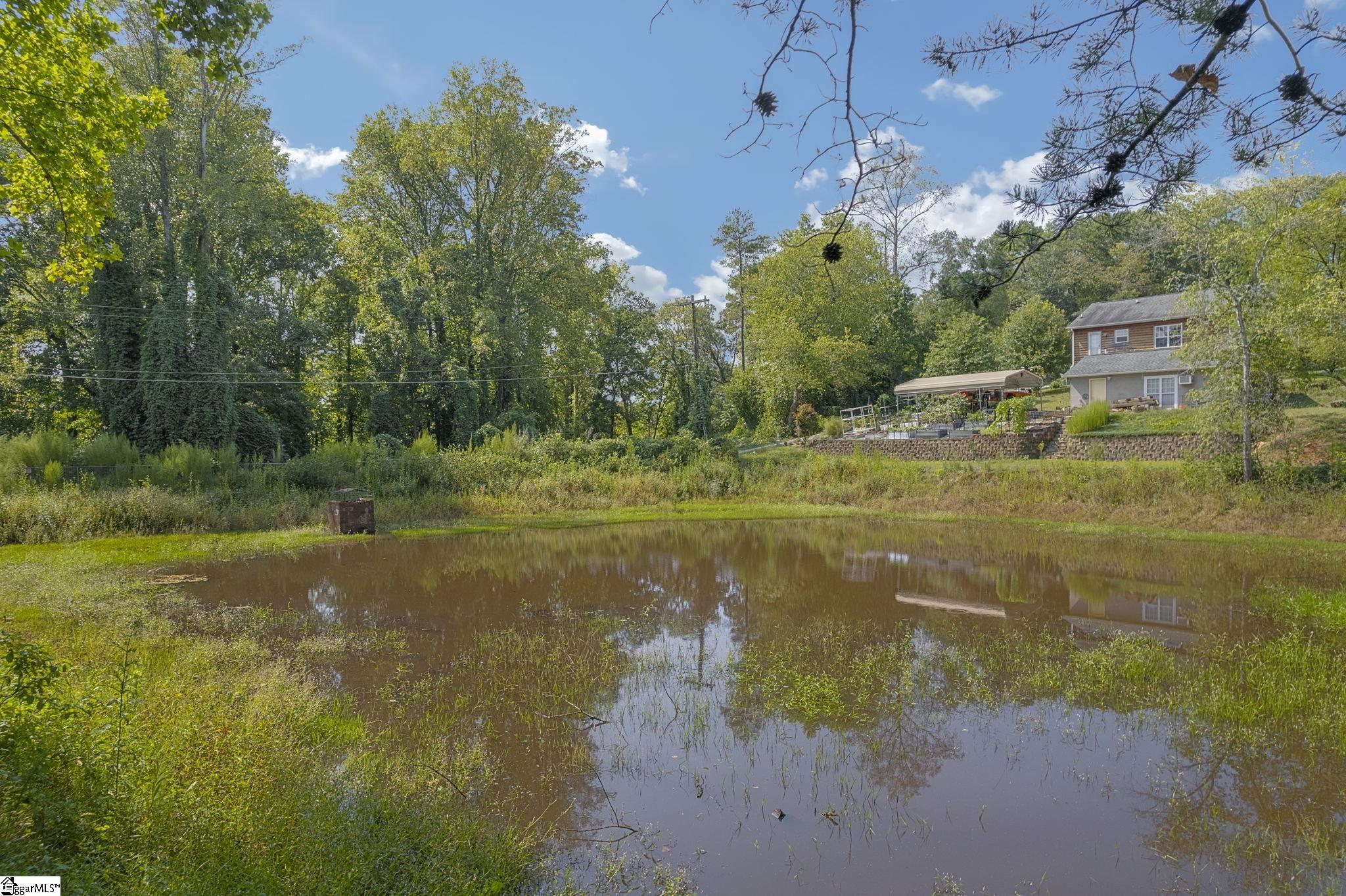 118 Old Saluda Dam Road Property Photo 29