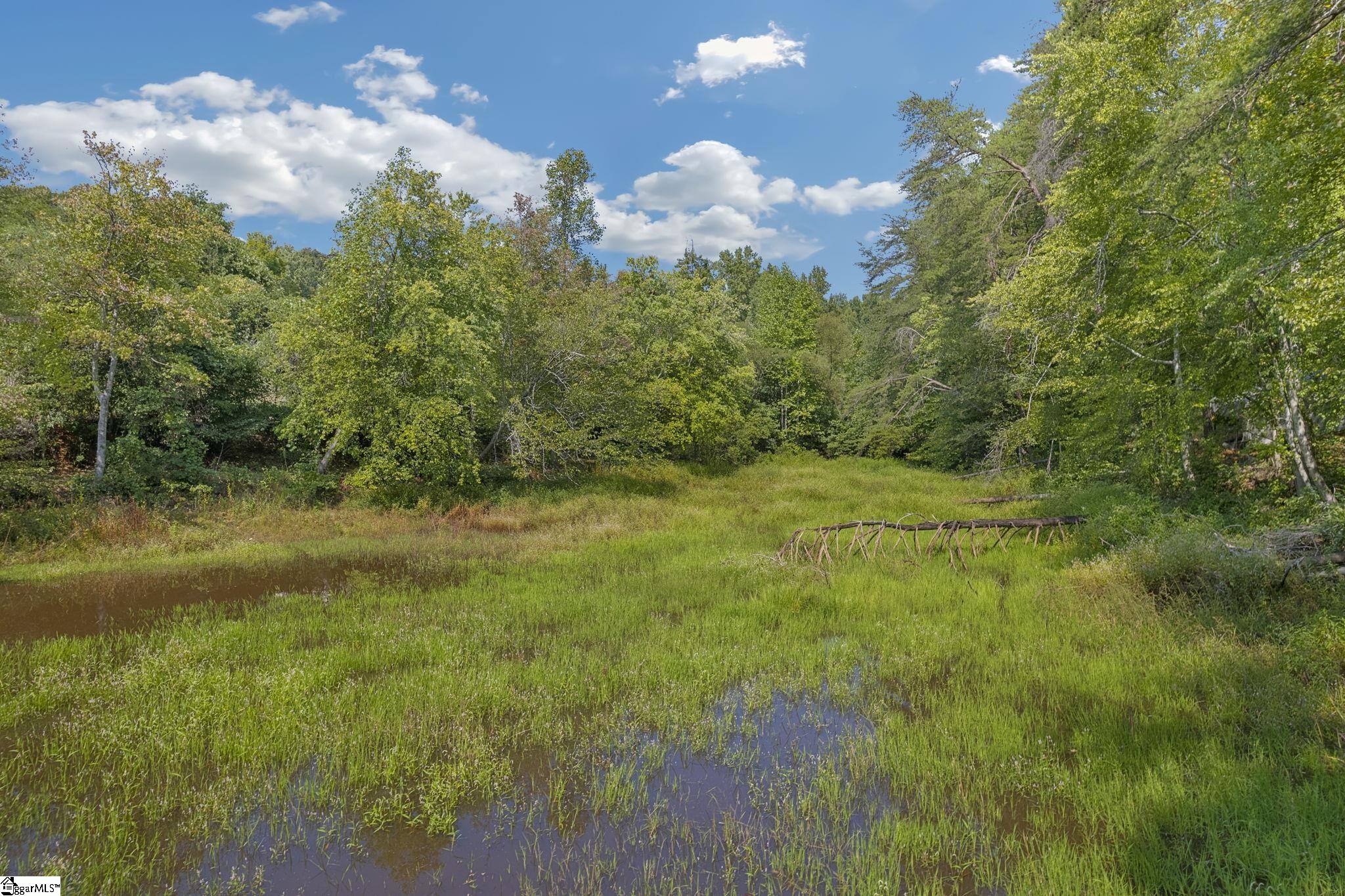 118 Old Saluda Dam Road Property Photo 30