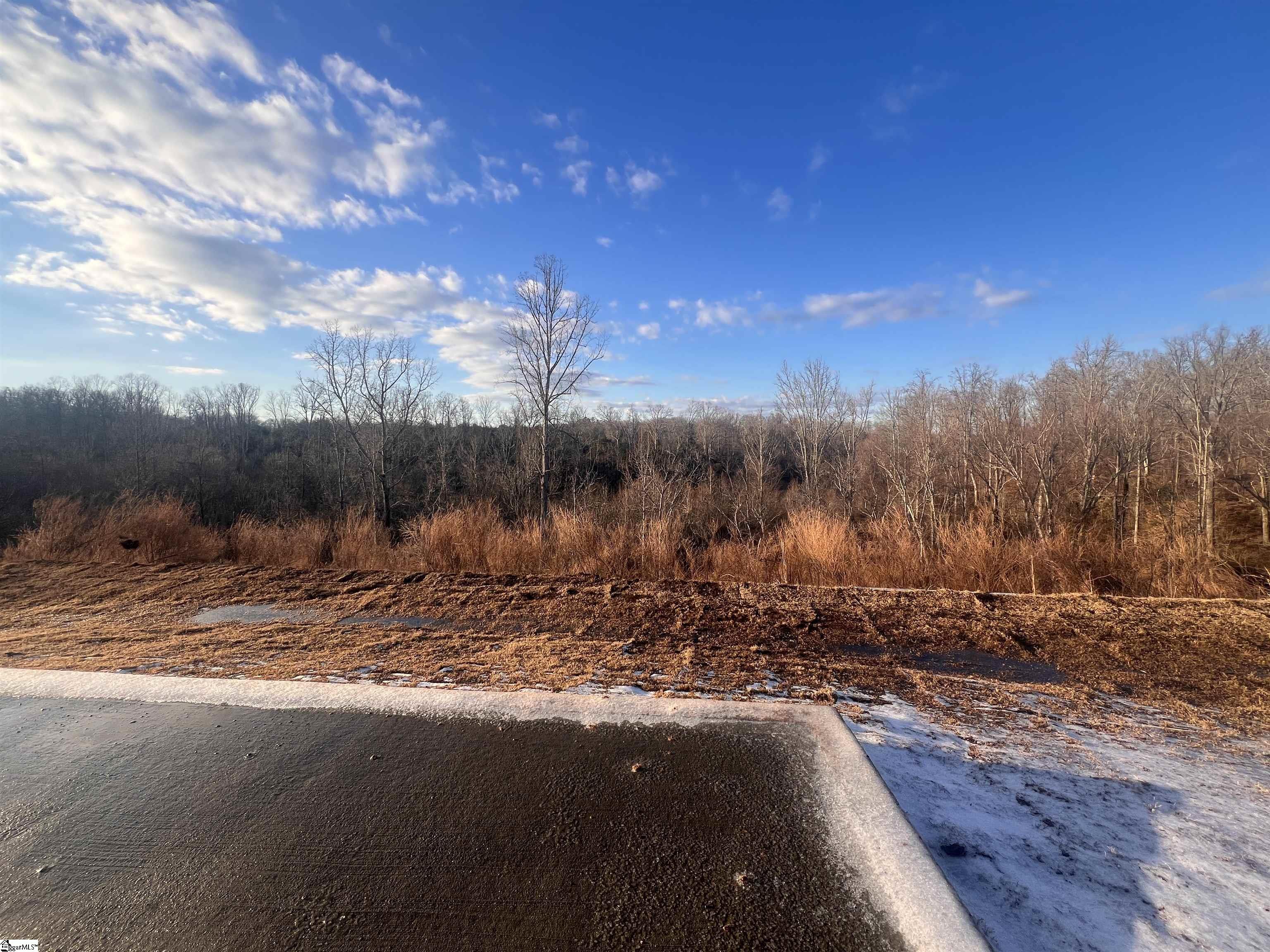 339 Cypress Hollow Trail Property Photo 4