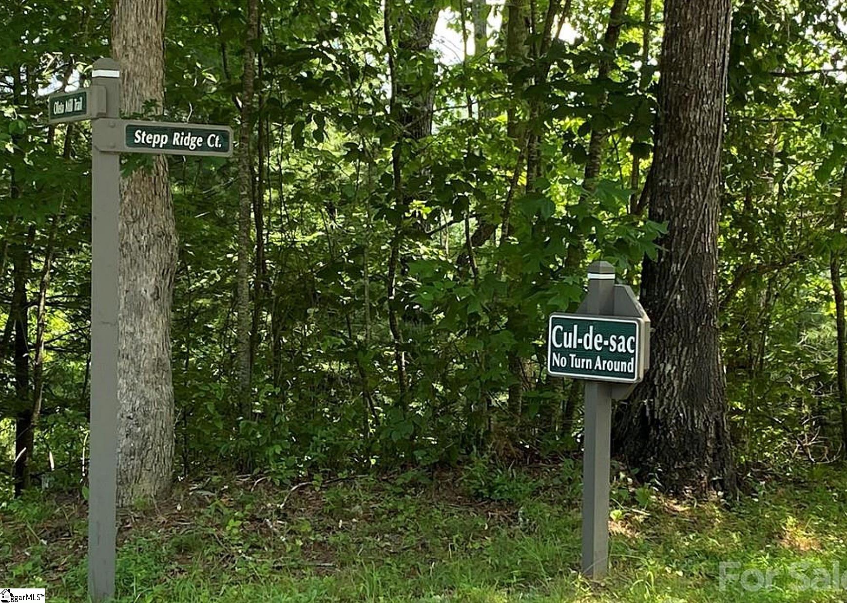 68 Stepp Ridge Court Property Photo 8