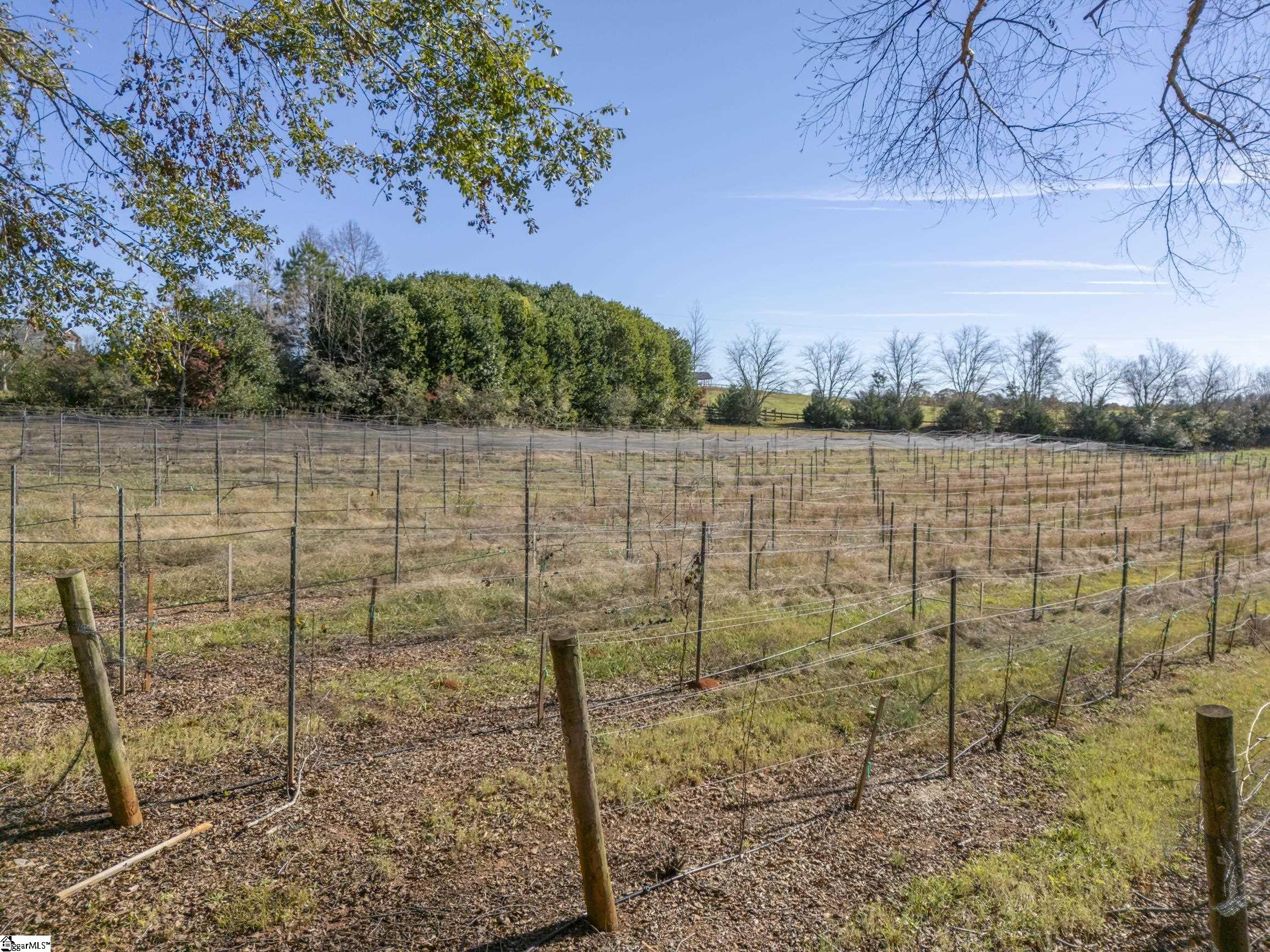 2662 Green Creek Drive Property Photo 16