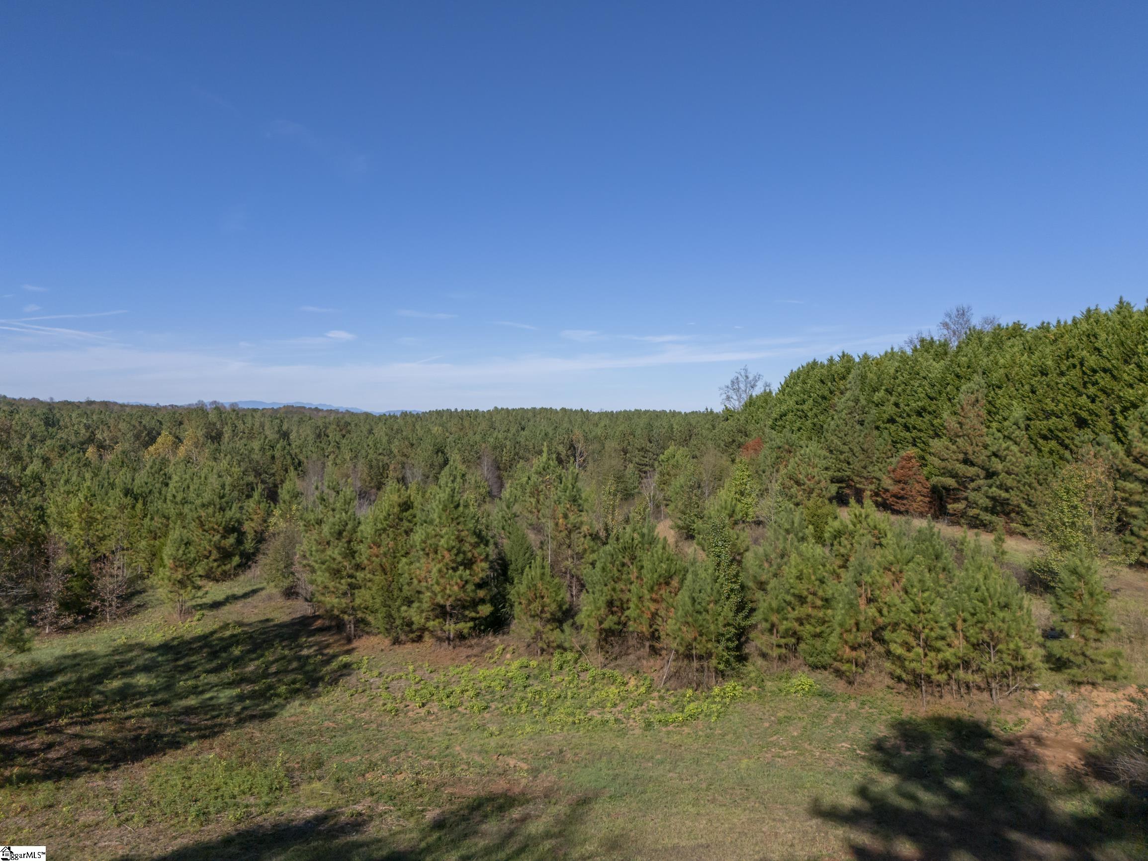 2662 Green Creek Drive Property Photo 35