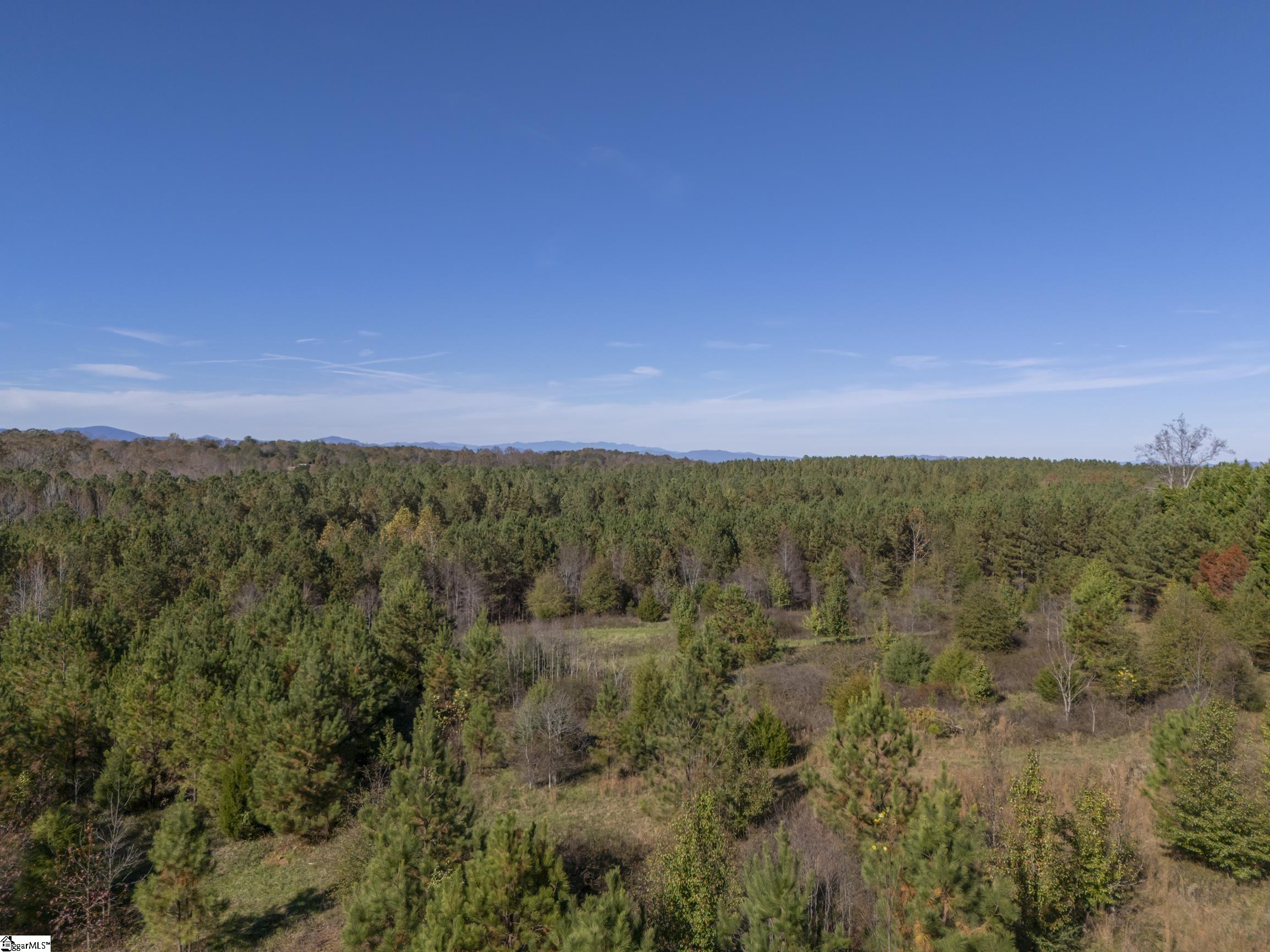 2662 Green Creek Drive Property Photo 36