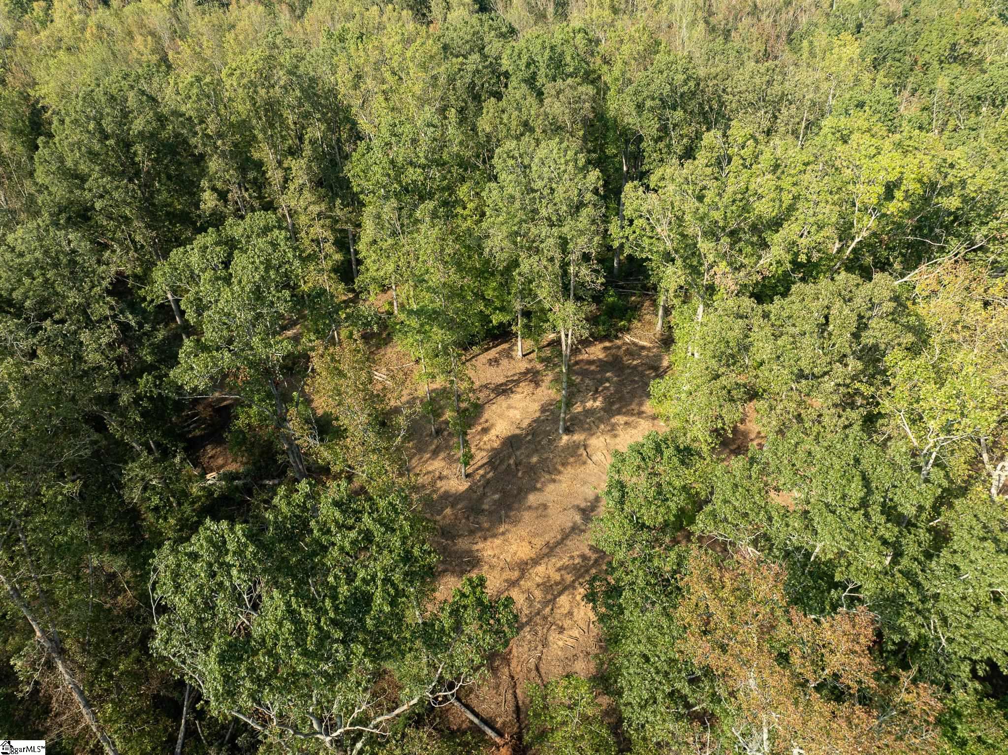 221 W Chapman Road Property Photo 19