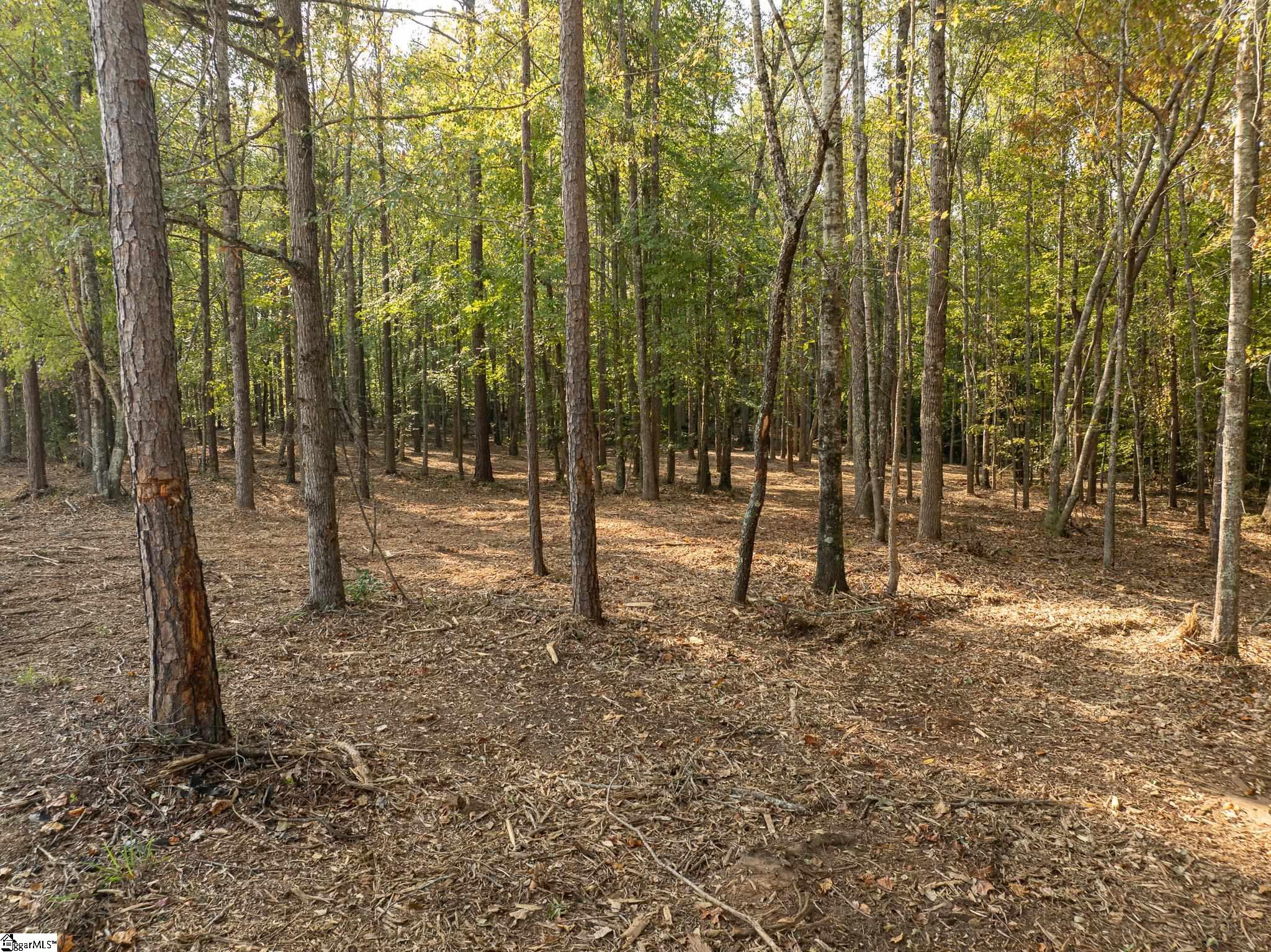 221 W Chapman Road Property Photo 30