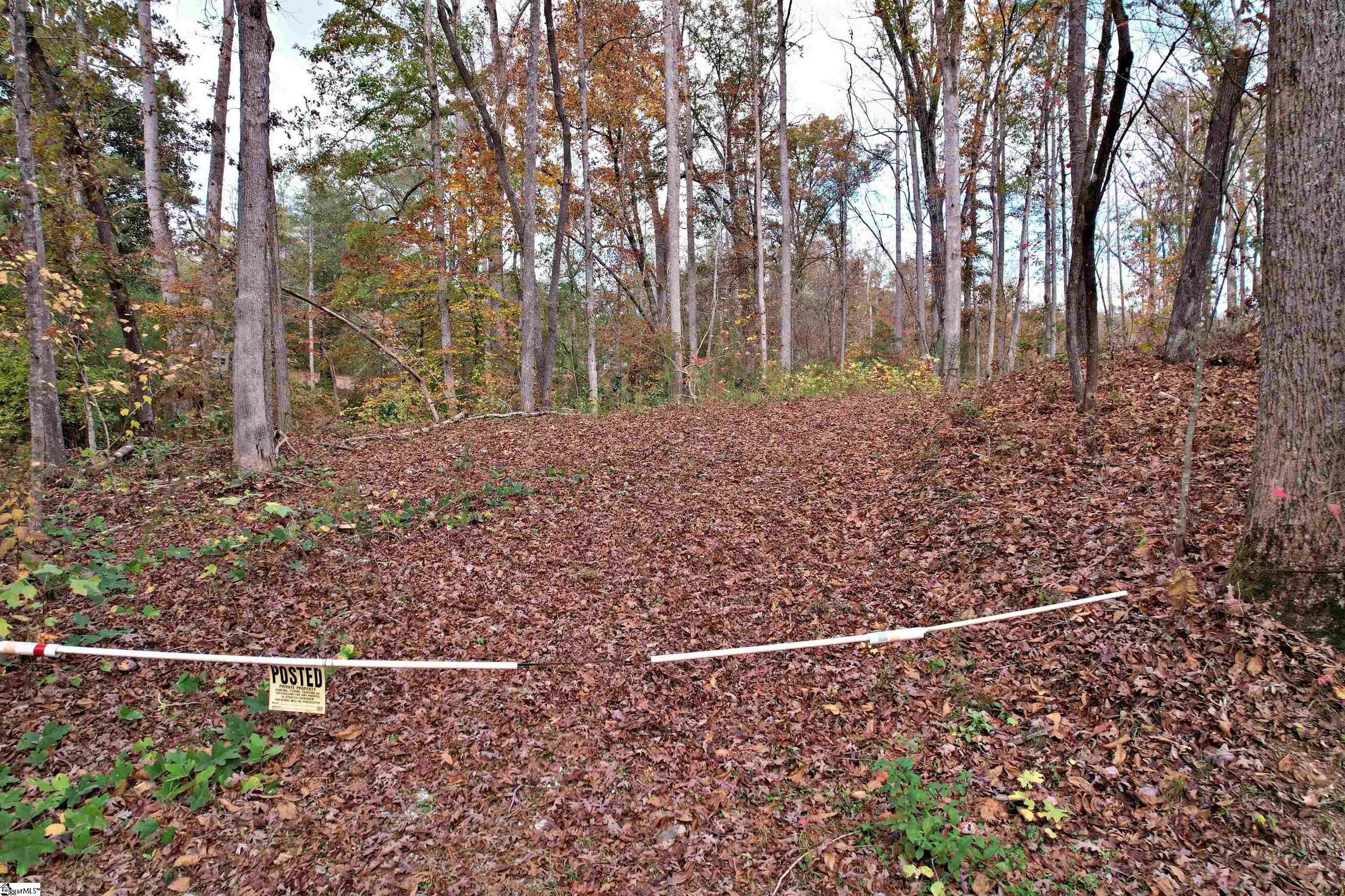 0000 Moorefield Memorial Highway Property Photo 4