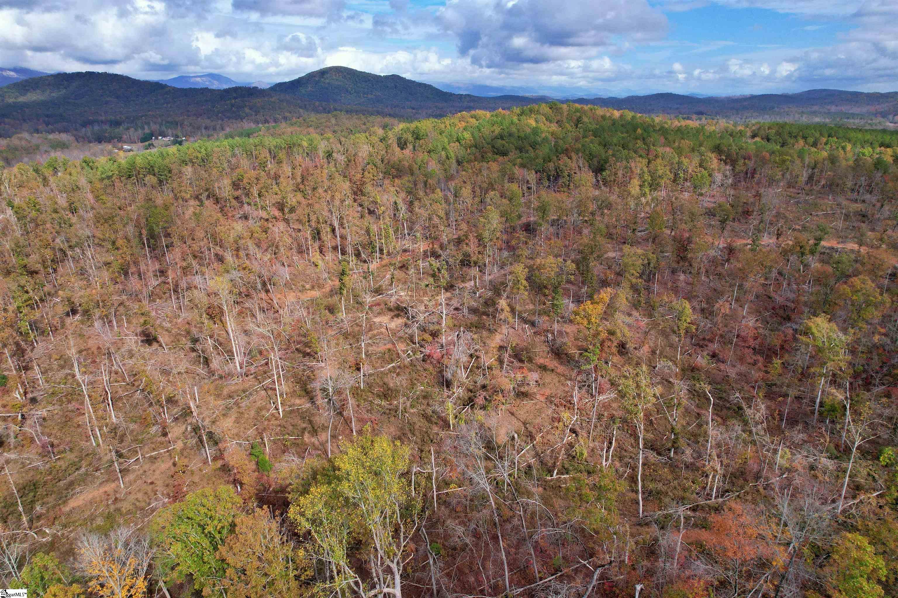 0000 Moorefield Memorial Highway Property Photo 17