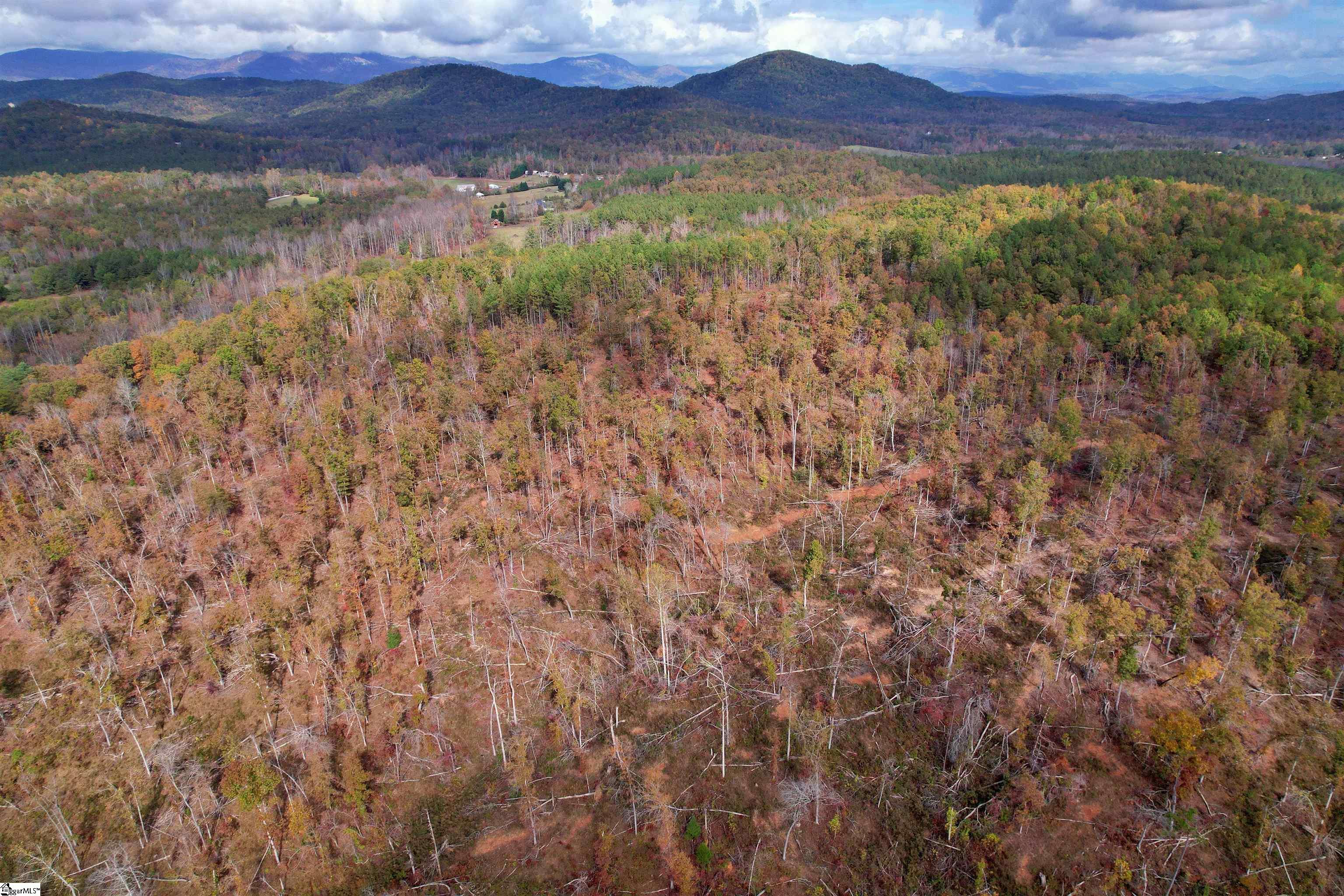 0000 Moorefield Memorial Highway Property Photo 19